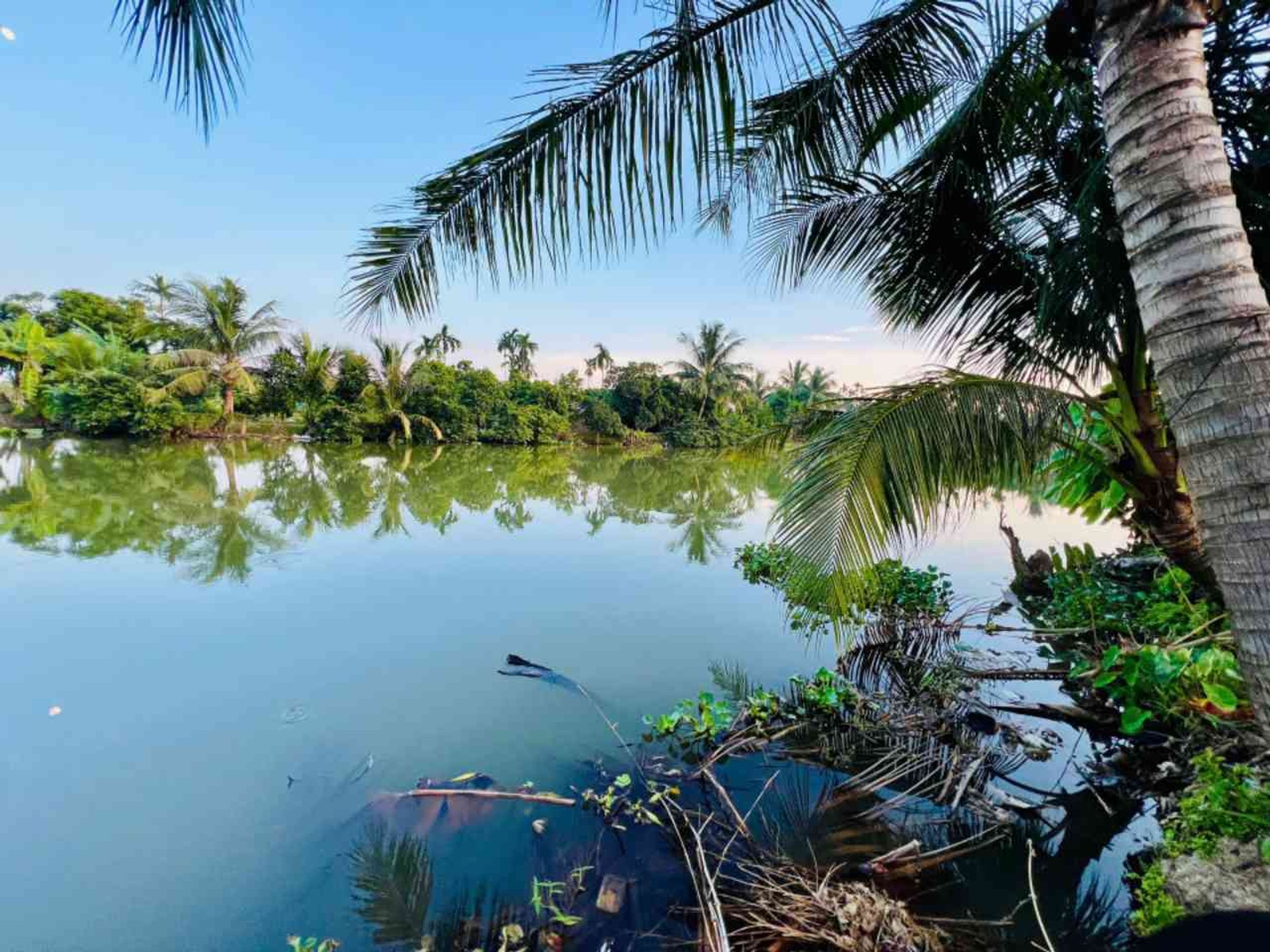 Đất An Trường giá hợp lý, ngõ thông thoáng