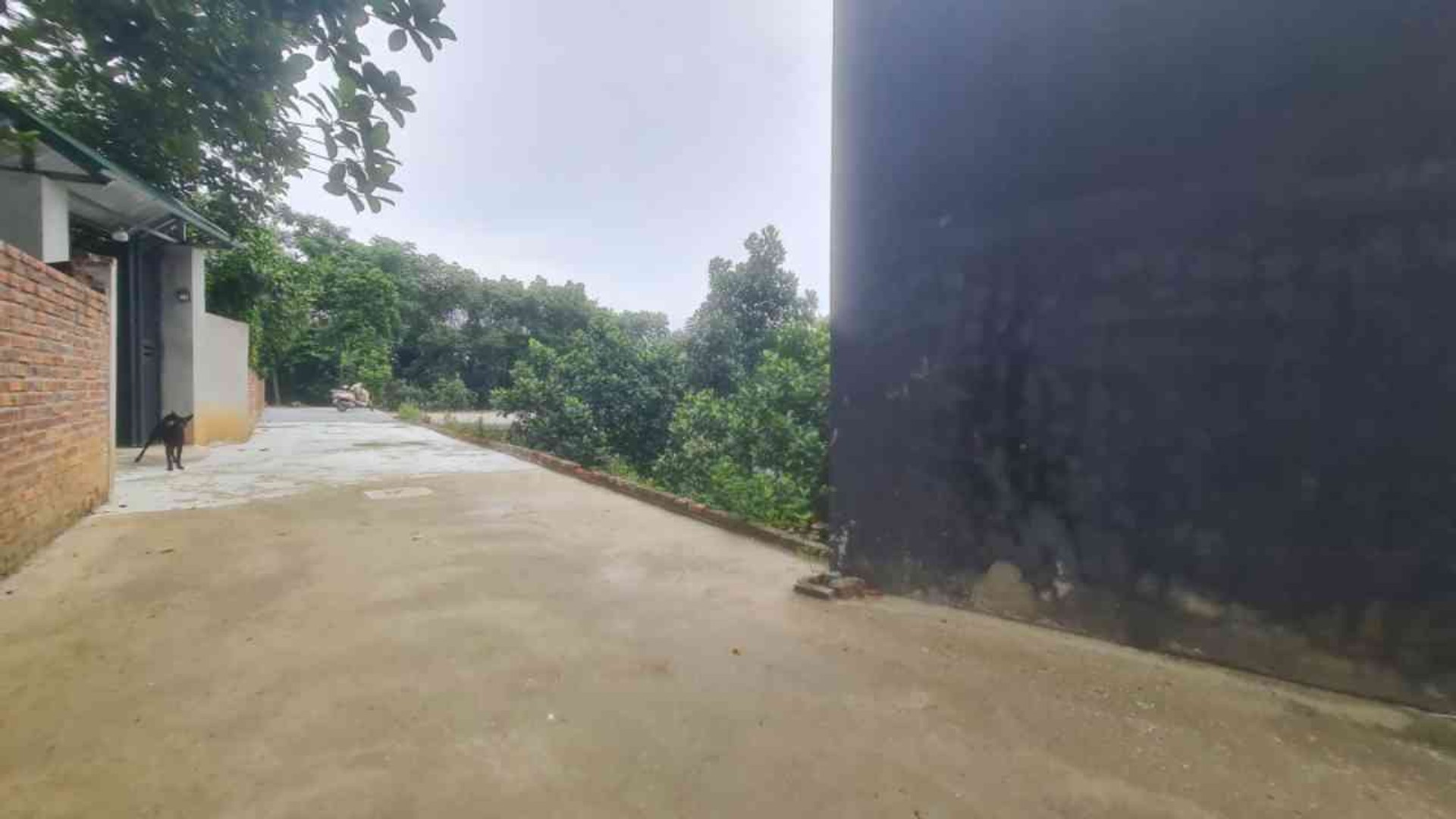 Bán đất 76.5m2 hướng Đông tại Phật Tích, Bắc Ninh giá 900 triệu