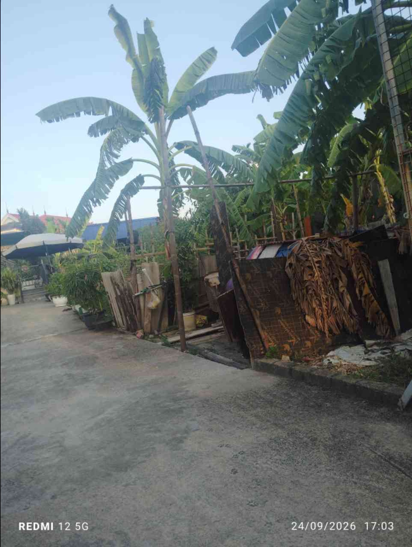 Đất Vàng Đầu Tư Tại Thôn 6 Hoàng Đông