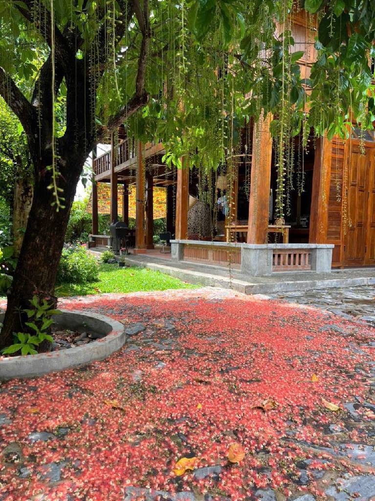 Biệt thự vườn sông xanh mát, Nhà Bè giá tốt