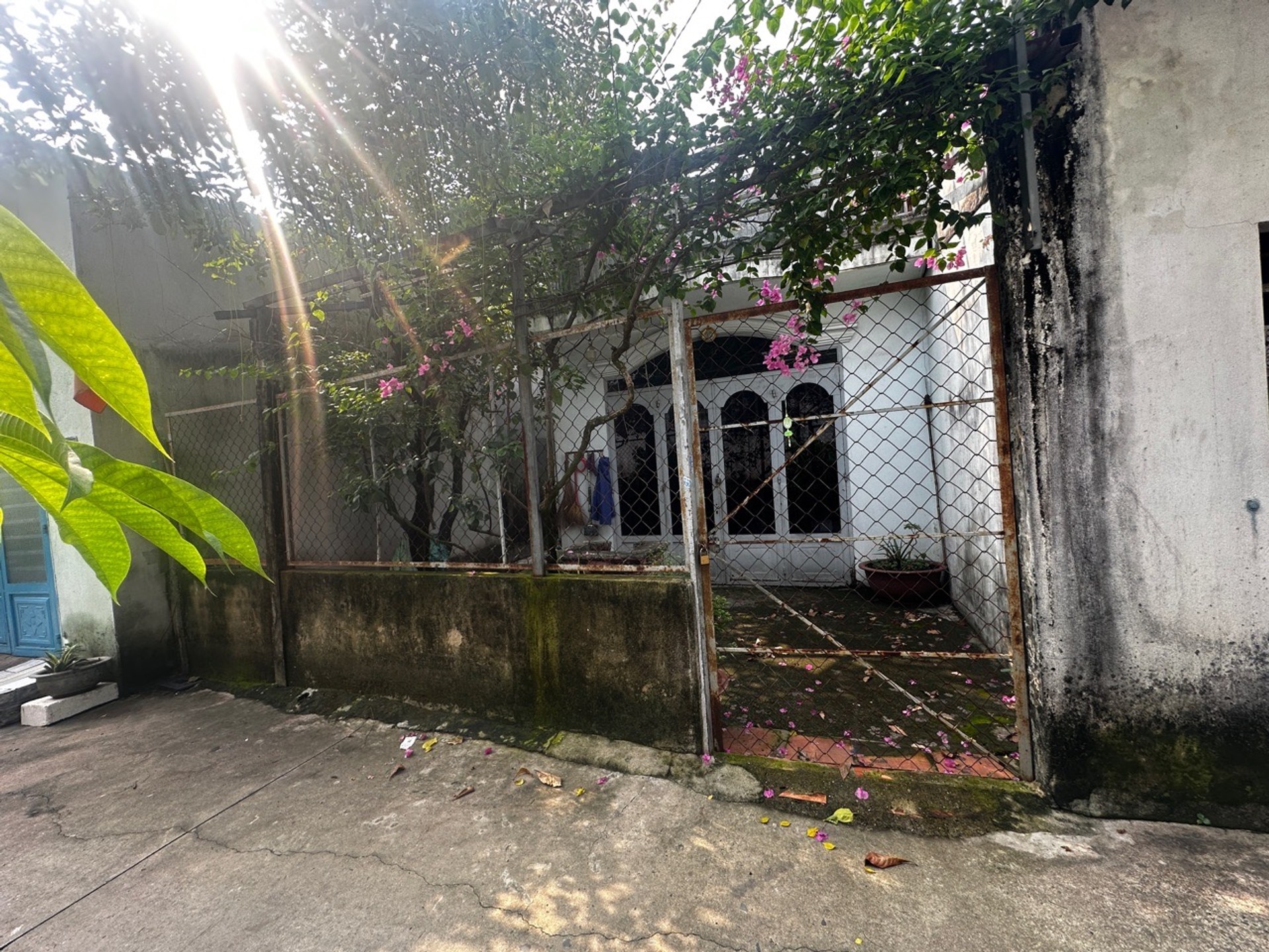BÁN NHÀ SÁT MẶT TIỀN ĐỖ VĂN DẬY HÓC MÔN NGHAN KHU MẦM NON TÂN HOÀ 5X20M TIỆN XÂY MỚI GIÁ 4.1 TỶ