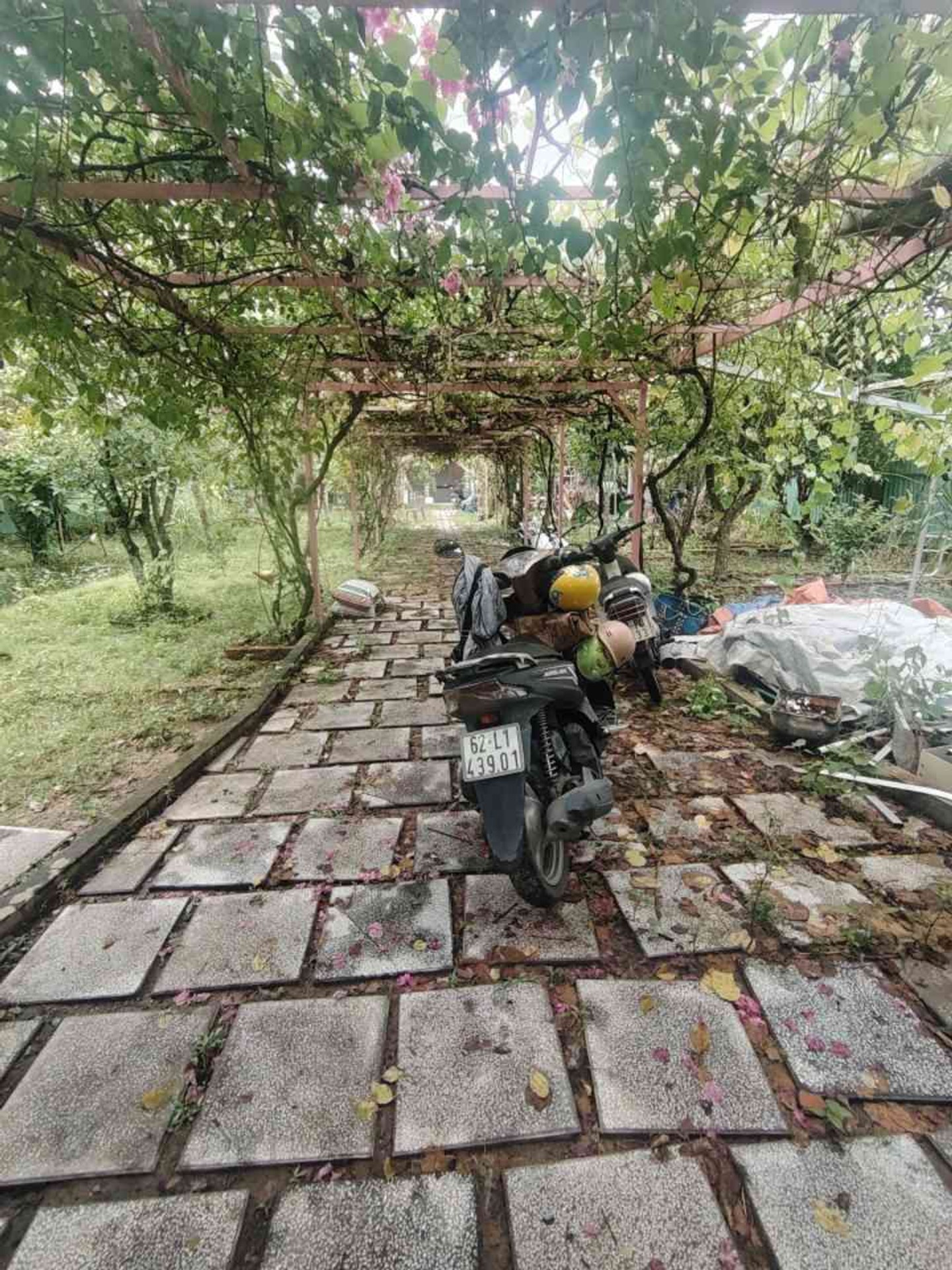 Nhà vườn siêu rộng tại Long Thới, Nhà Bè không gian yên tĩnh có sân vườn hồ cá coi