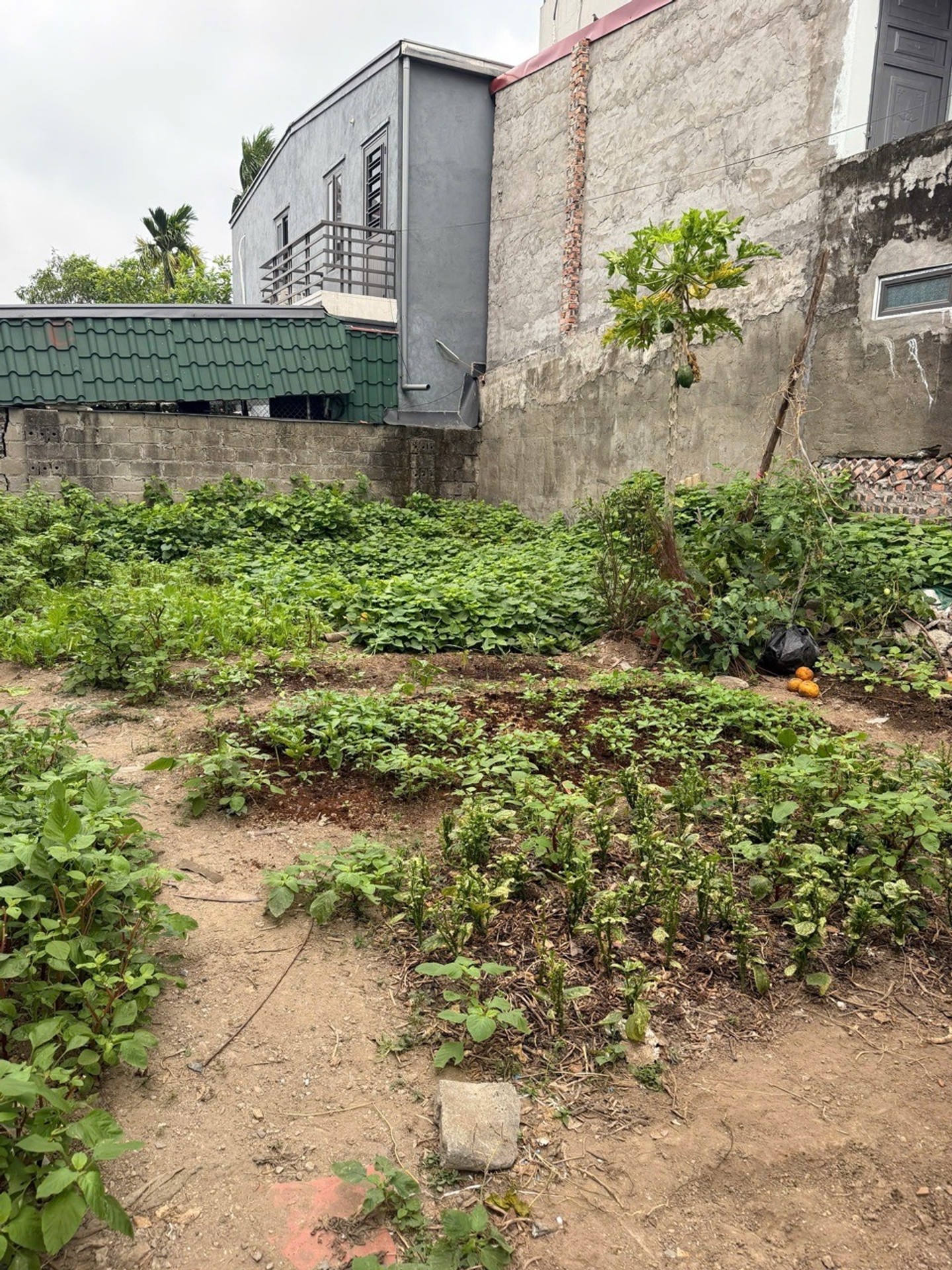 Đất đẹp 90m² mặt đường KDC An Trang - Vị trí siêu tiện lợi