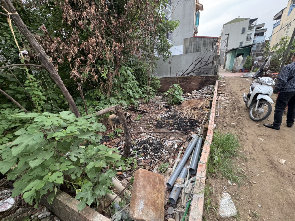 Nhà Riêng Trung Tâm Vĩnh Quỳnh - Cơ Hội Vàng Cho Nhà Đầu Tư