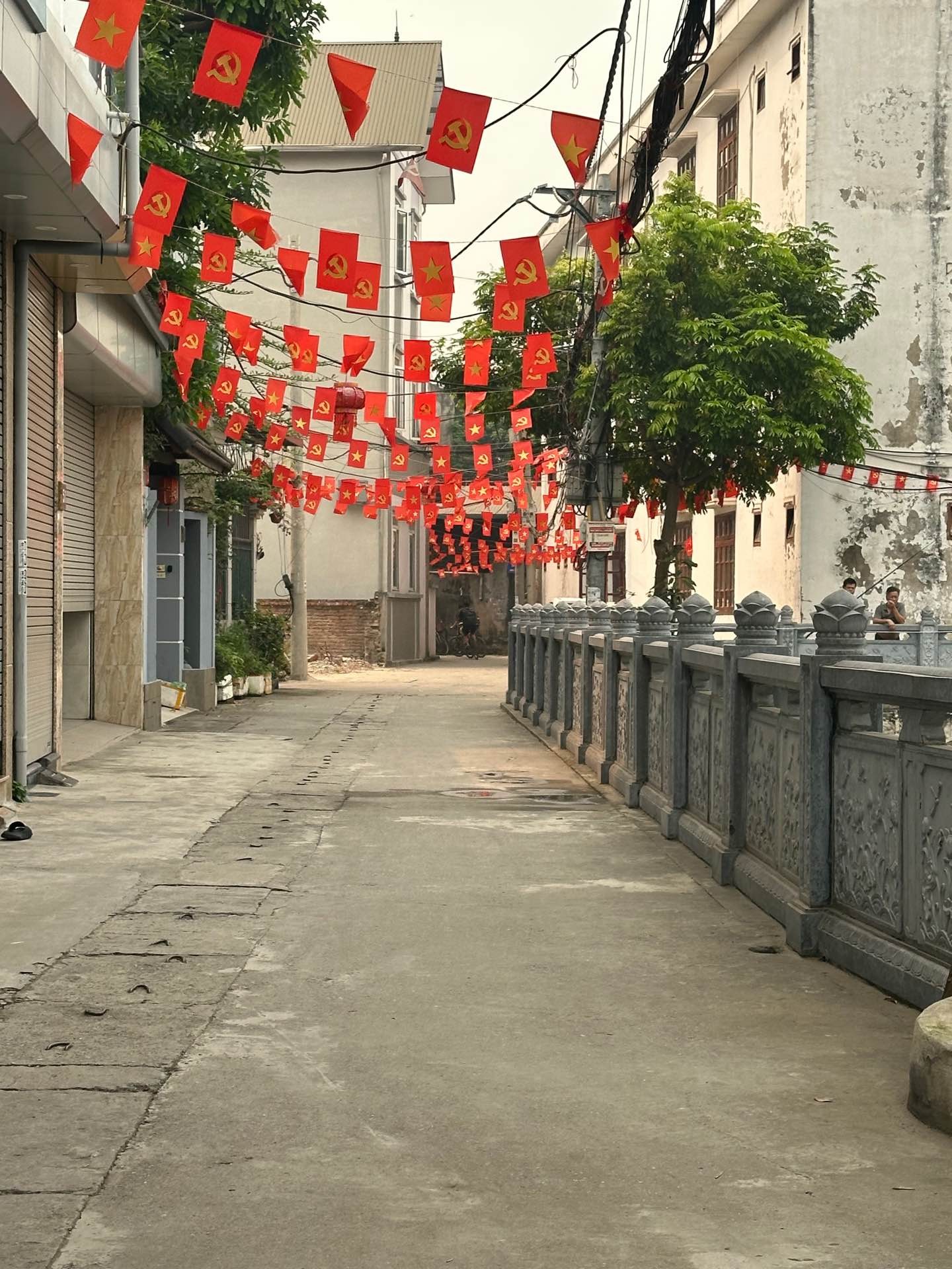 ĐÔNG NGẠC HÀNG HIẾM