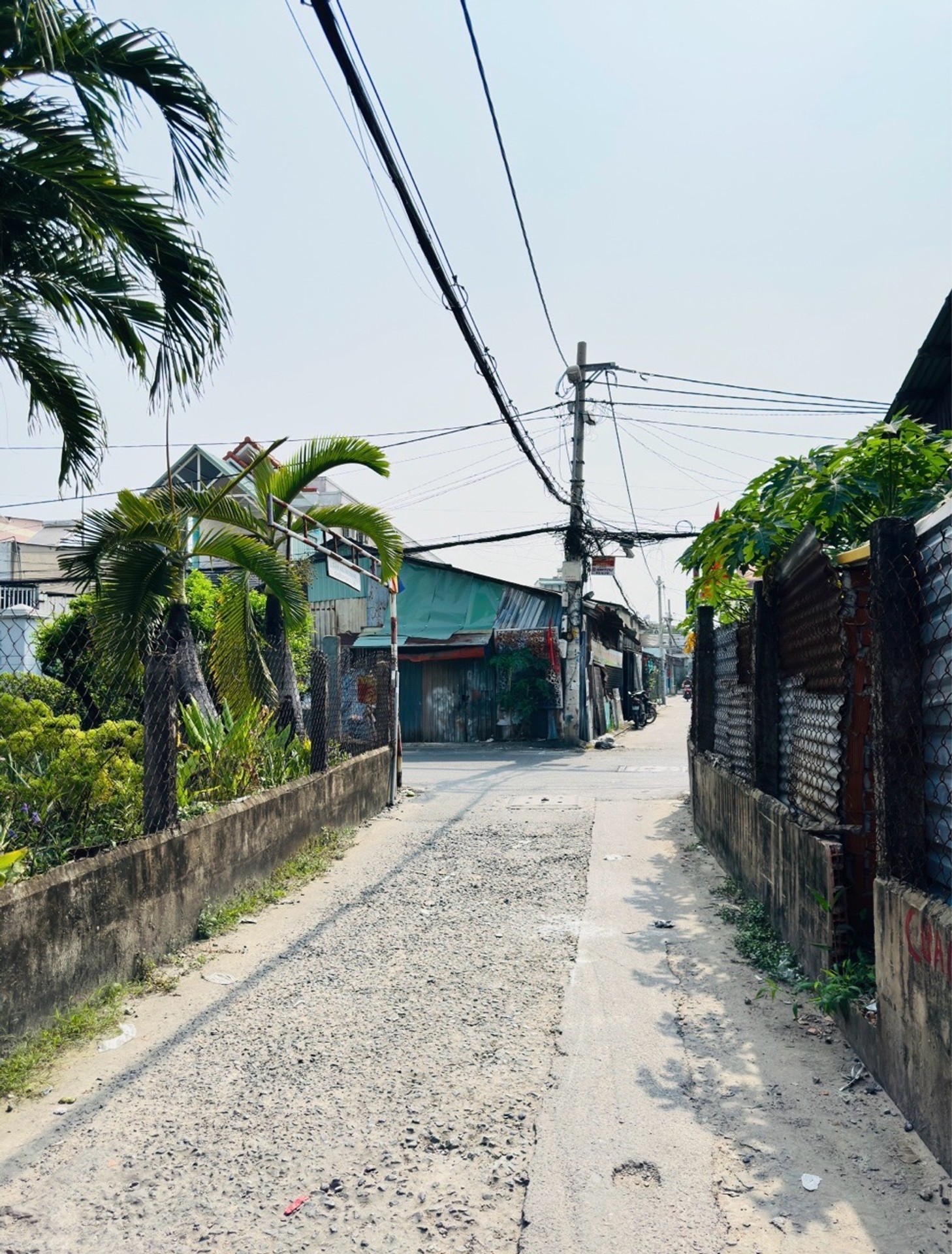 ĐẤT LỚN ĐÔNG HƯNG THUẬN – 499M² NGANG 8M NỞ HẬU – GIÁ CHỈ HƠN 4 TỶ 🔥