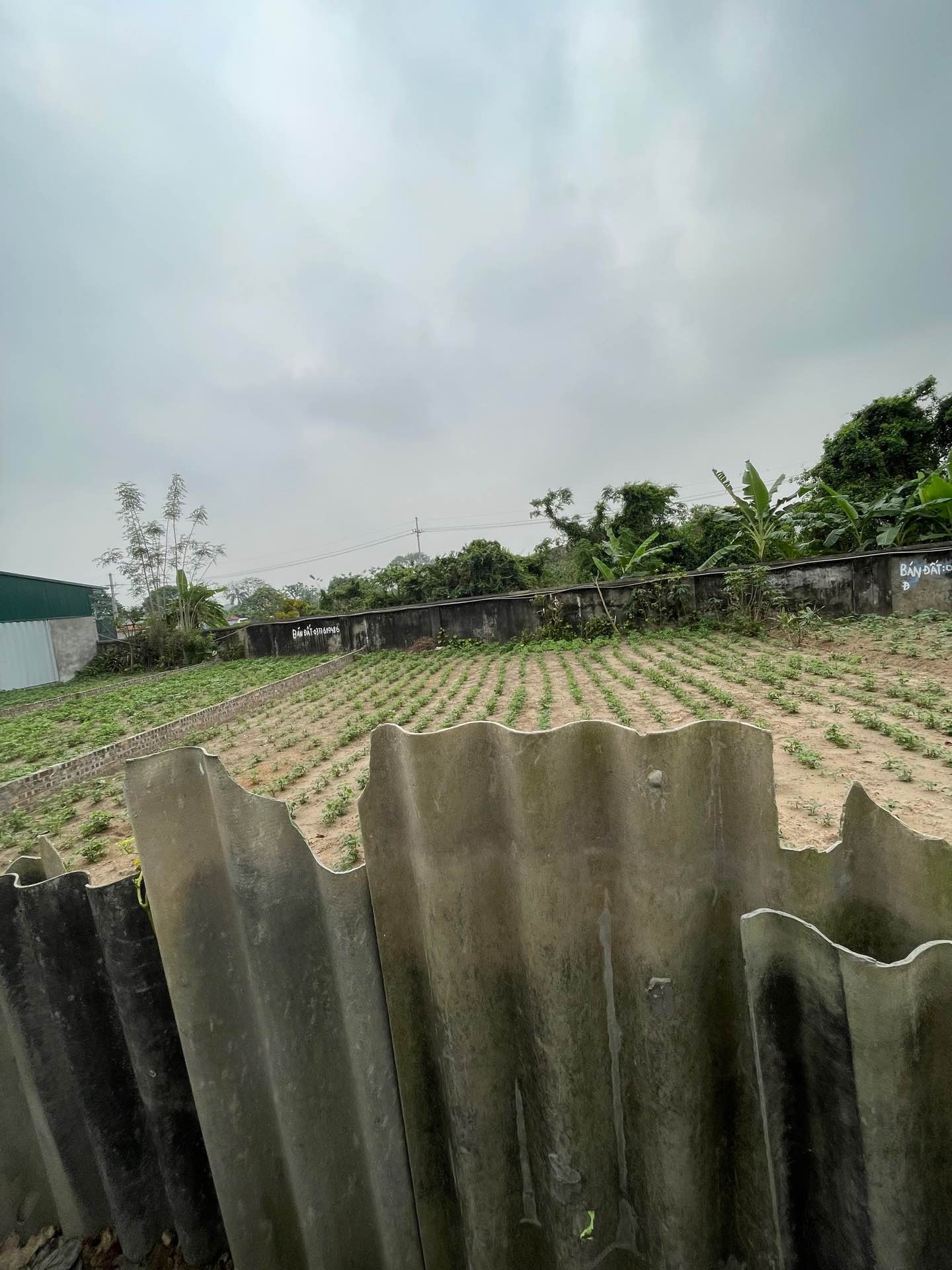 Bán đất mặt tiền 7m tại Mai Hiên, diện tích 117m2, pháp lý rõ ràng