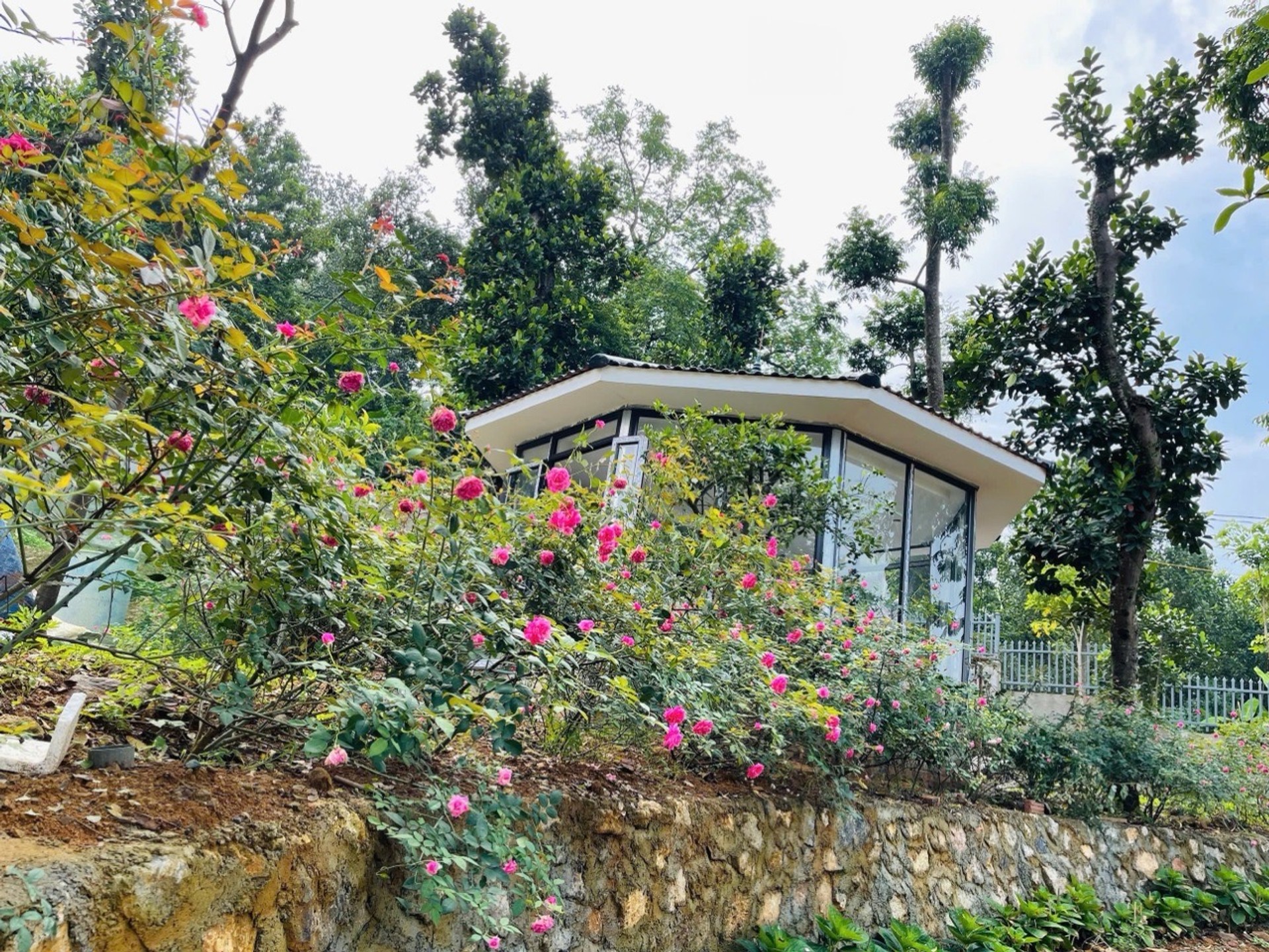 Đất nền biệt thự view Đại Lộ Thăng Long tại Đồng Quang Quốc Oai