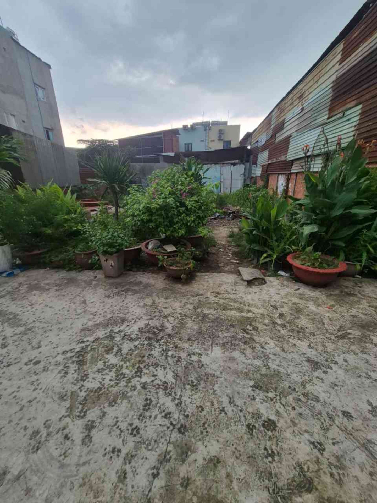 Cơ hội sở hữu đất vàng mặt tiền đường Trương Thị Hoa, vị trí đắc địa gần trường Nguyễn Hiền