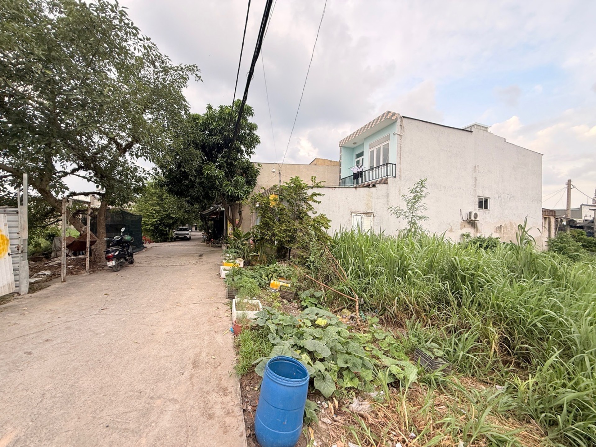 🔥 ĐẤT FULL THỔ HIẾM ĐÔNG THẠNH – 3,9 TỶ/176M² 🔥ĐẶNG THÚC VỊNH 5x36m, NỞ HẬU