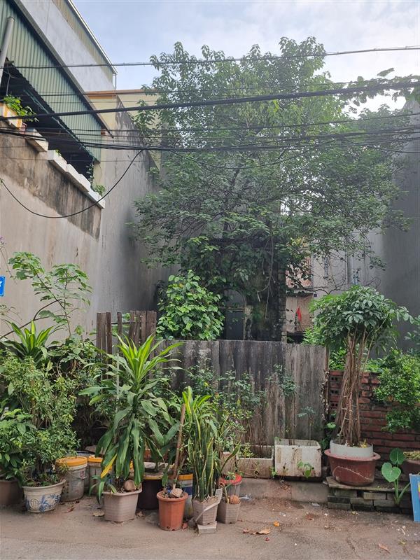 Đất Tái Định Cư, vỉa hè, oto tránh, view hồ, giá tốt
