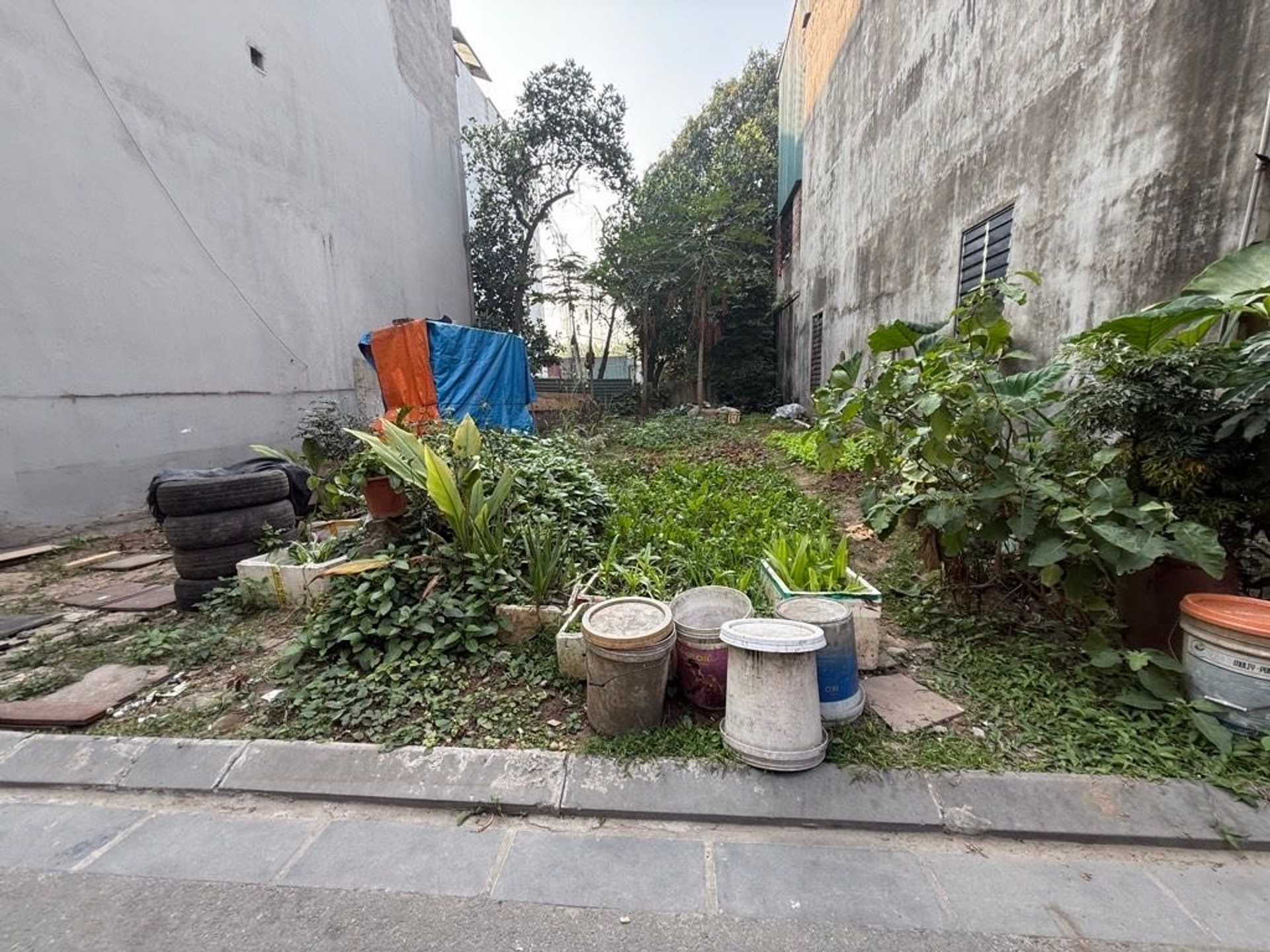 Bán đất 53.7m² tại Thư Lâm (thị trấn Đông Anh), ô tô vào đất