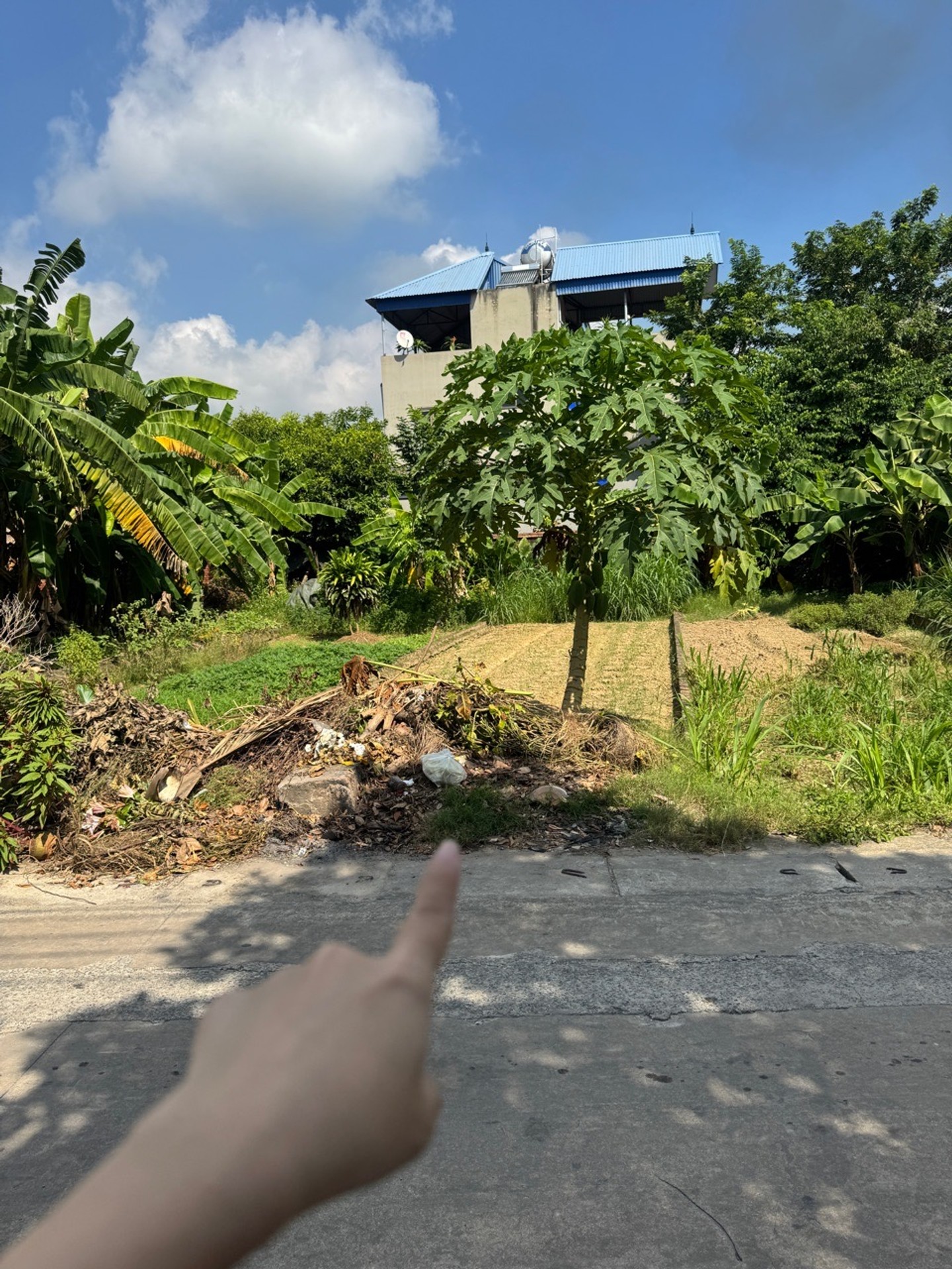 ĐẤT - GẦN TRUNG TÂM THỊ TRẤN - Ô TÔ - TÂN MINH - SÓC SƠN - GẦN DỰ ÁN TRƯỜNG ĐUA NGỰA - TIỀM NĂNG
