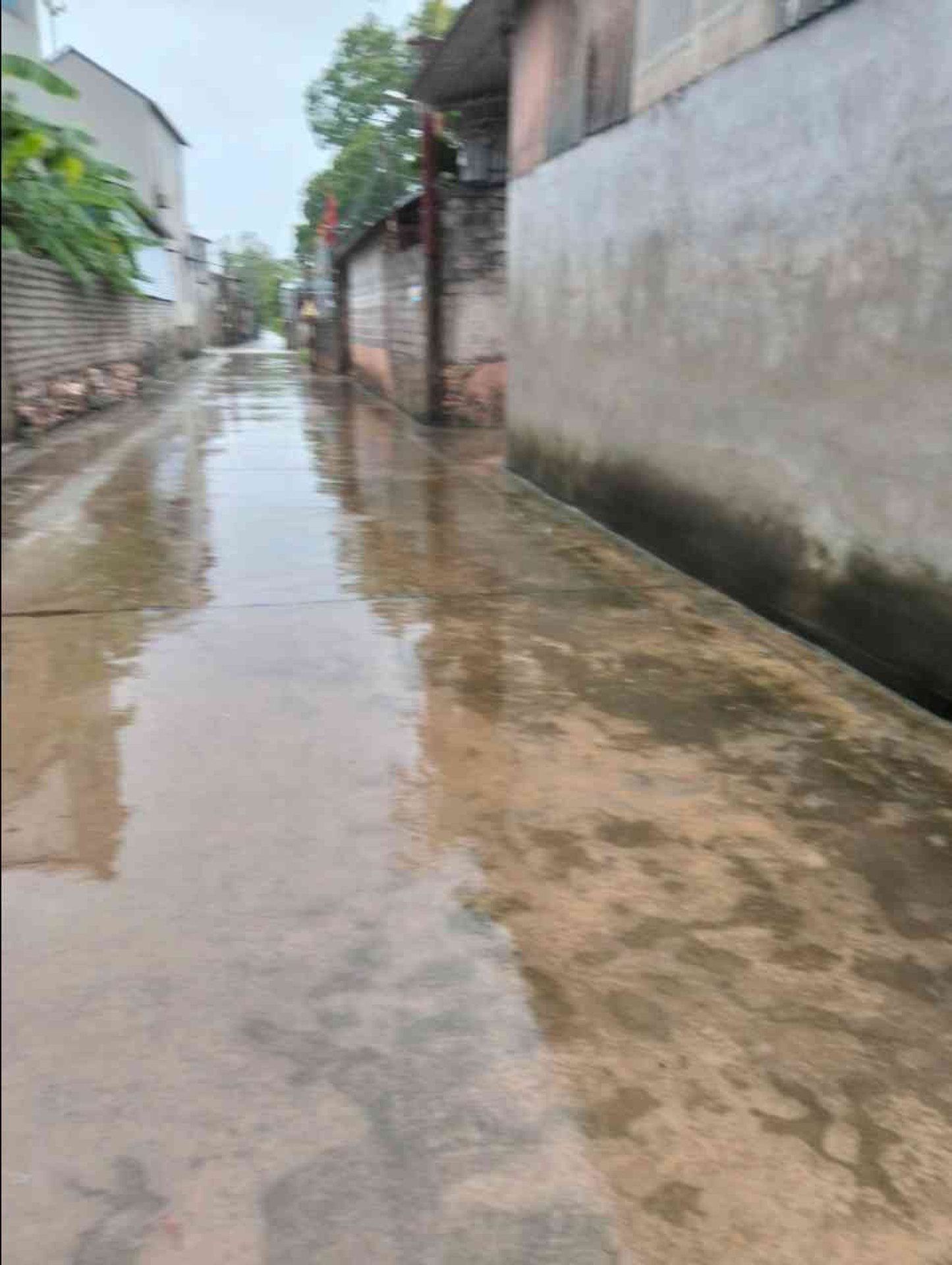 Cơ Hội Sở Hữu Đất Vàng Ngay Sau Trường Học Tại Khu Vực Quý Hiếm
