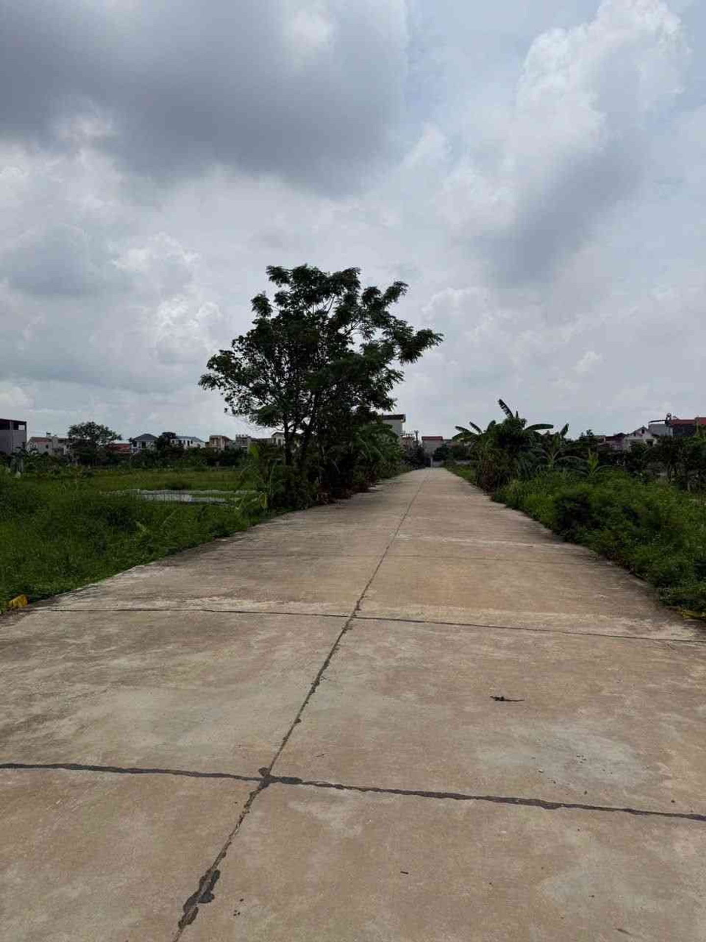 Bán đất thôn Nga Hoàng, xã Yên Giả, Quế Võ, Bắc Ninh 100m2
