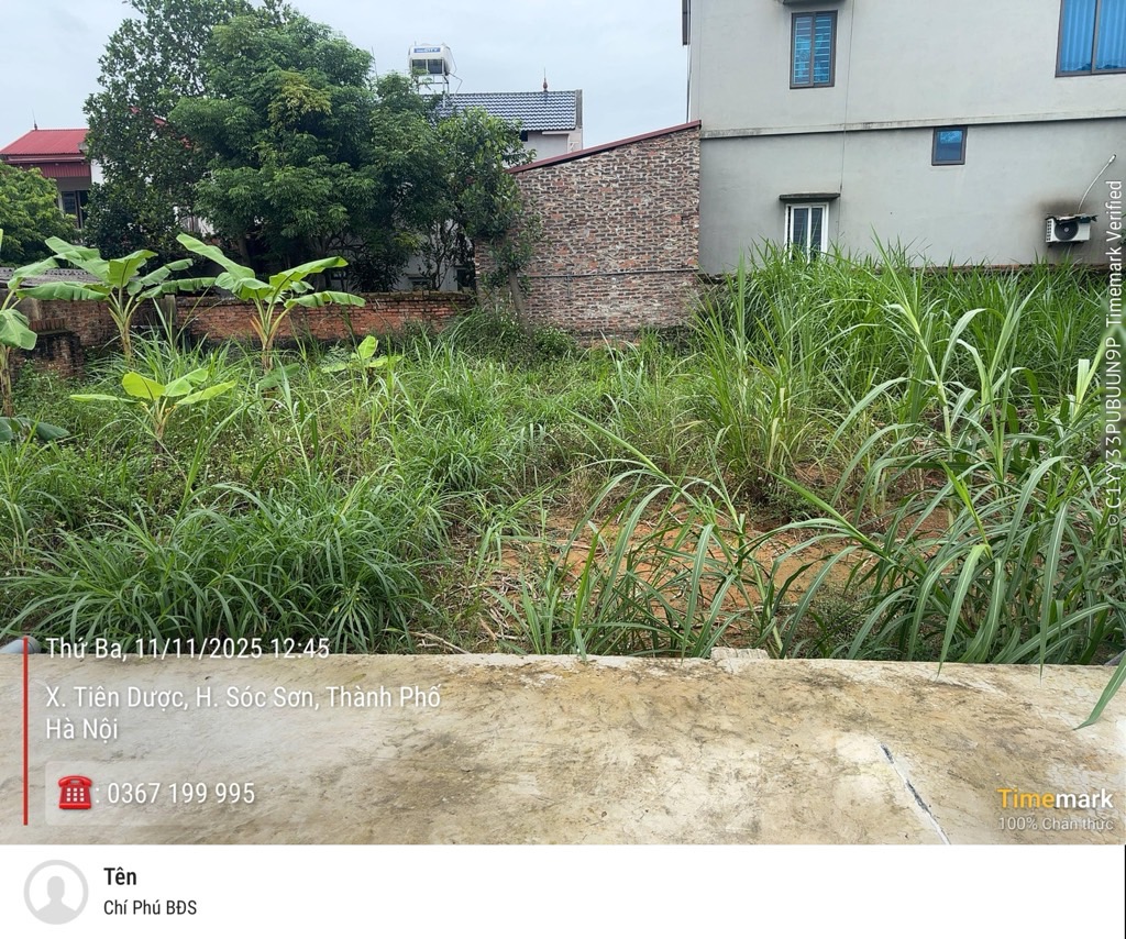 Bán đất 99,8m² thổ cư tại thôn Đồng Chầm, Sóc Sơn, Hà Nội