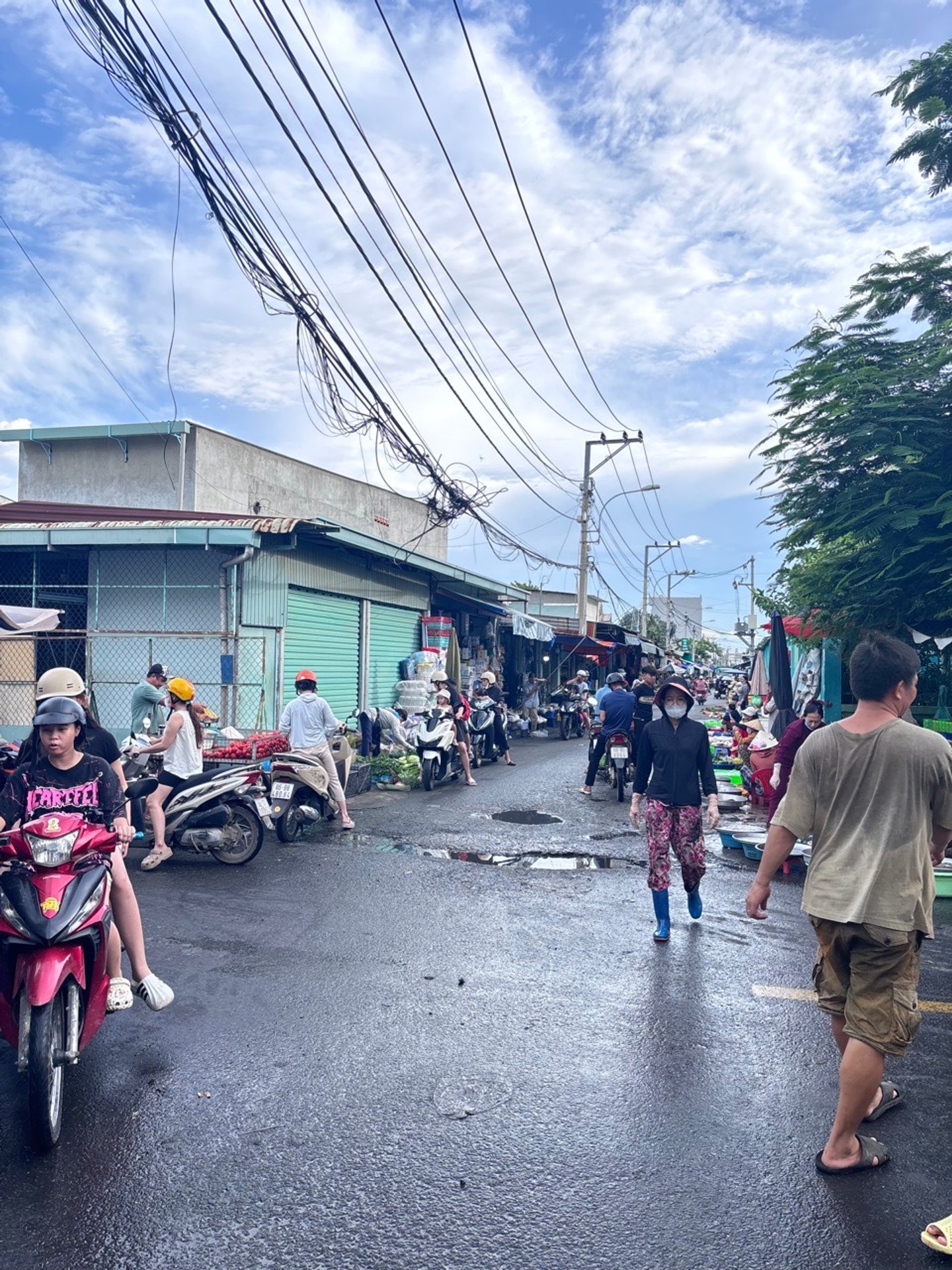 Đất Vàng Nguyễn Văn Thạnh – Sẵn Sổ Vuông, Xây Tự Do