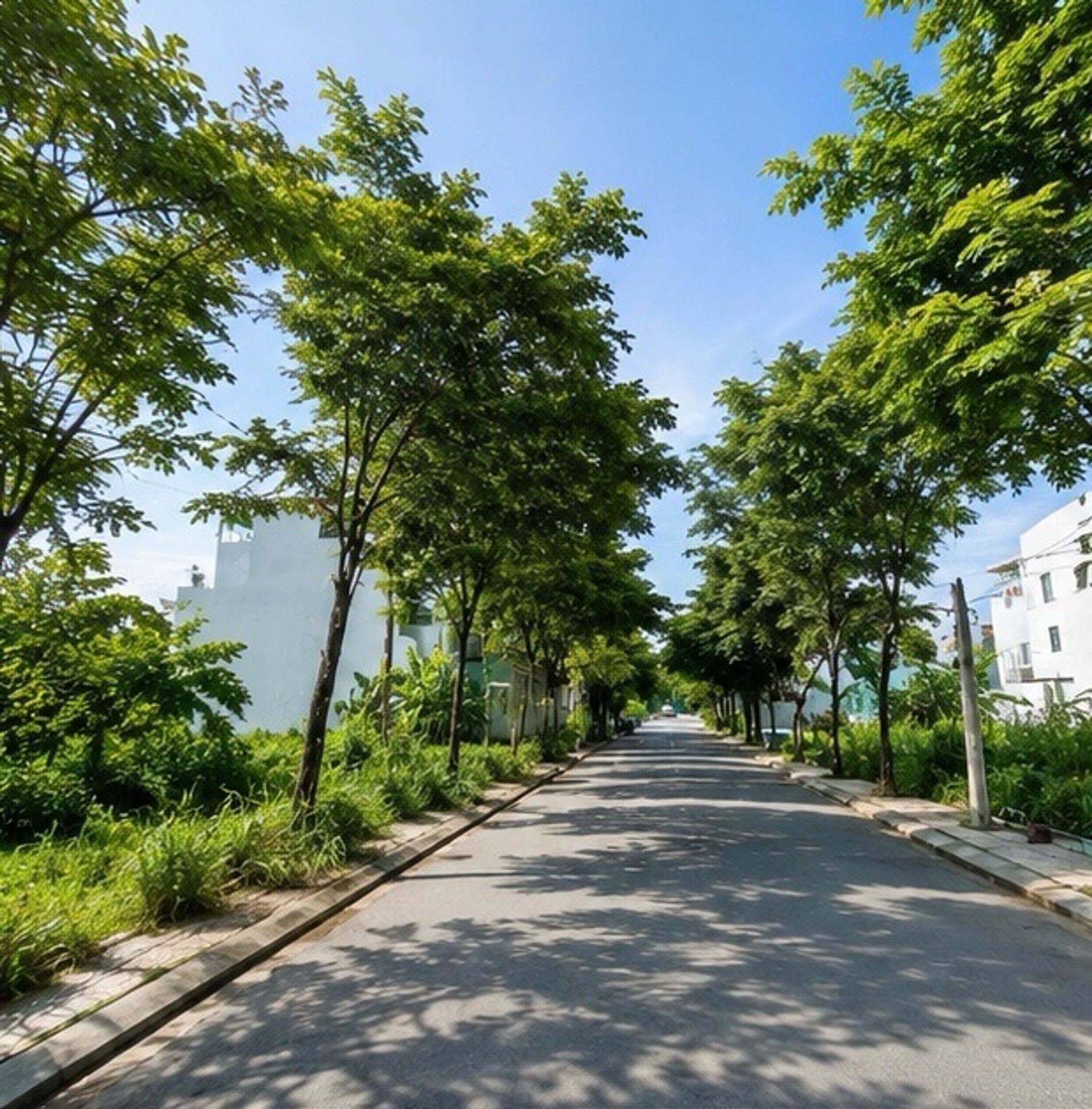 Mua Bán đất gần Chợ Long Trường, đường trước nhà 5m, pháp lý rõ ràng, 56,5m² hướng Tây Nam