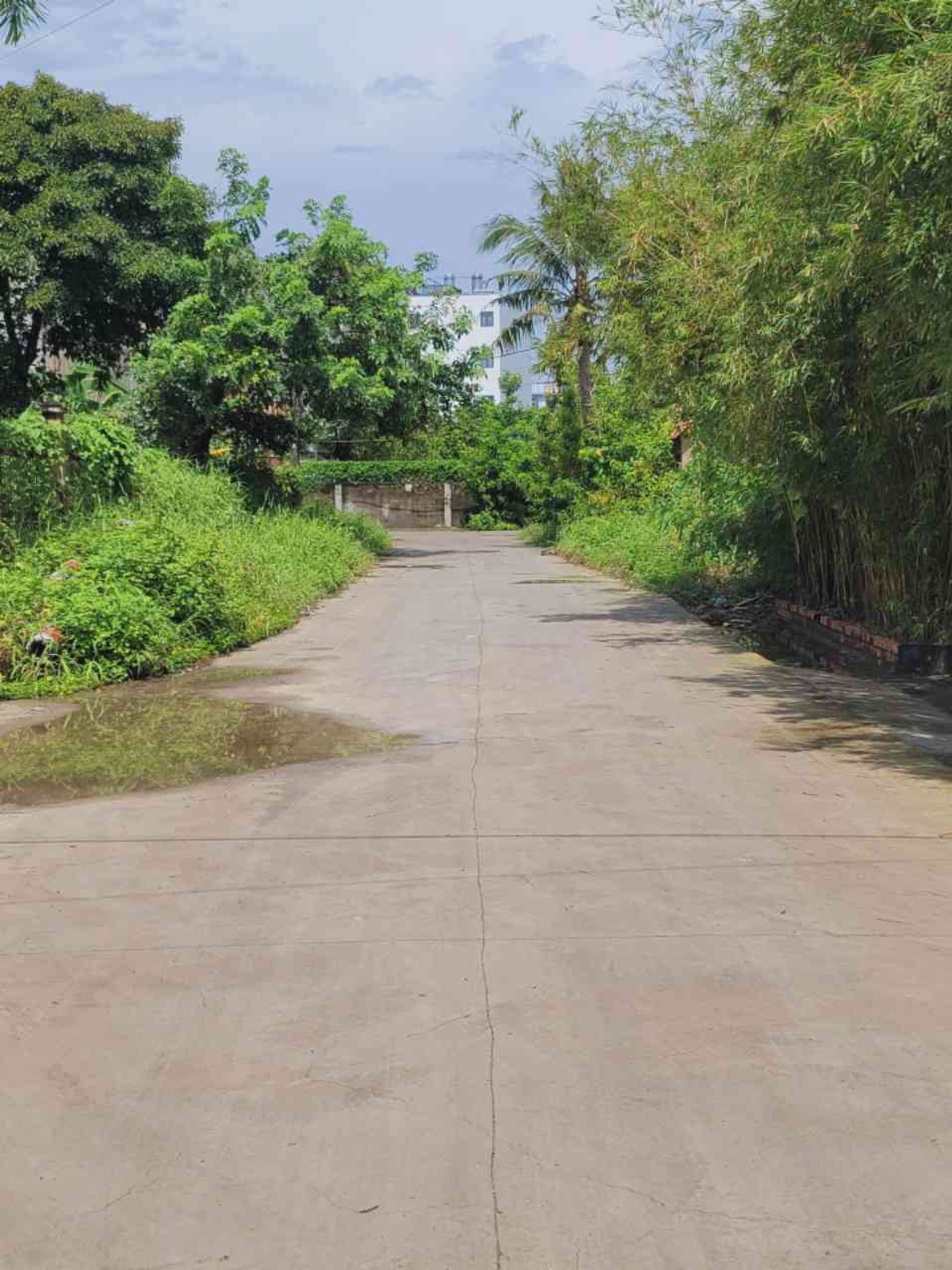 Nhà xưởng Thạnh Lộc, Quận 12, 870m2 (13 x 70), 48.8 tỷ
