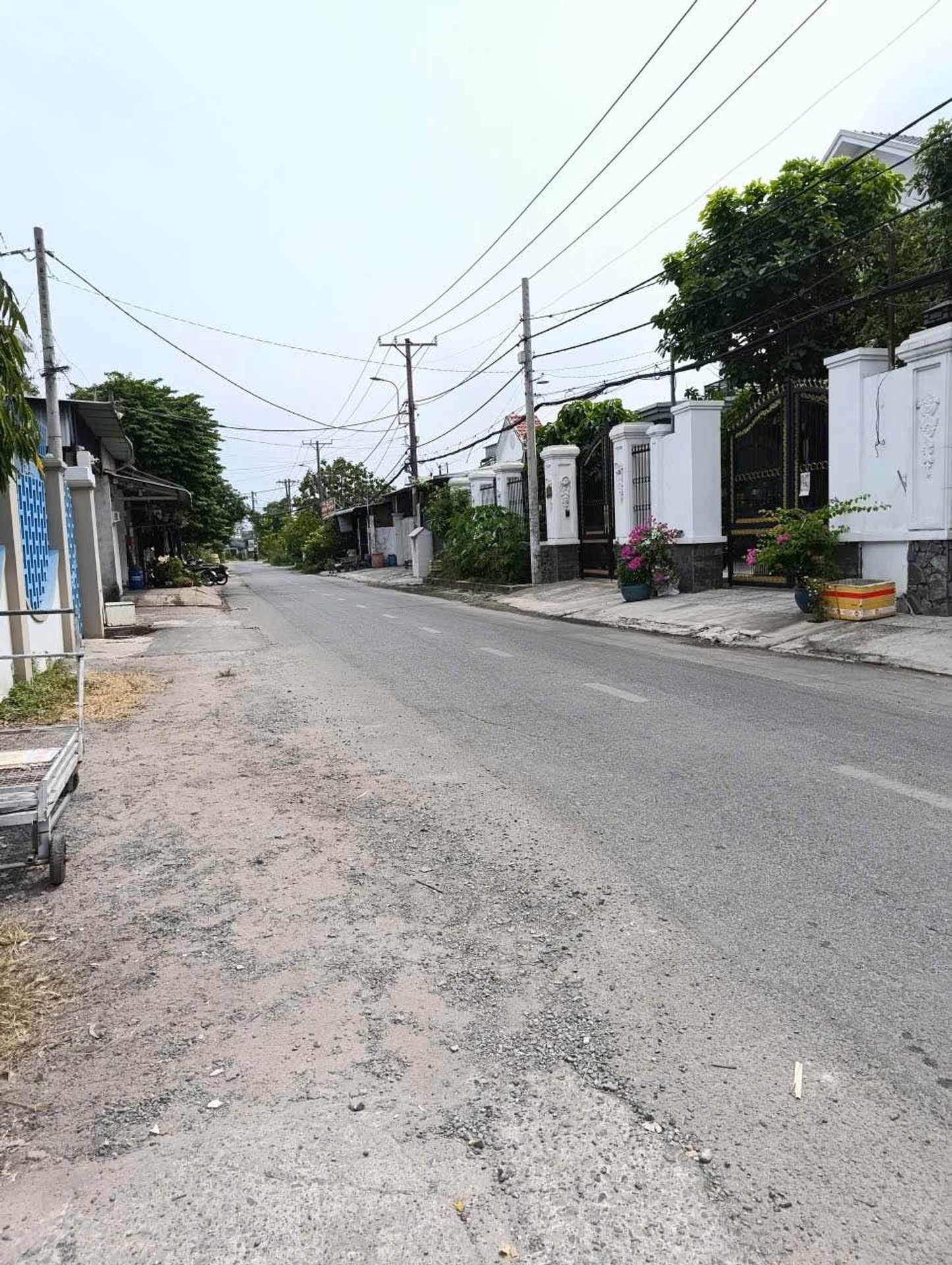 CHỦ LỚN TUỔI BÁN GẤP 1.265M² ĐẤT NGUYỄN THỊ NGÂU-HÓC MÔN - CÓ 250M² HẠN MỨC ĐẤT Ở CHỈ NHỈNH 9TỶ
