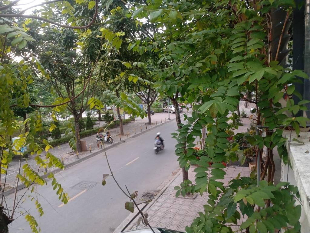 Cơ hội sở hữu nhà mặt phố Kim Quan Thượng vị trí vàng, giá tốt, diện tích rộng 75.5m²