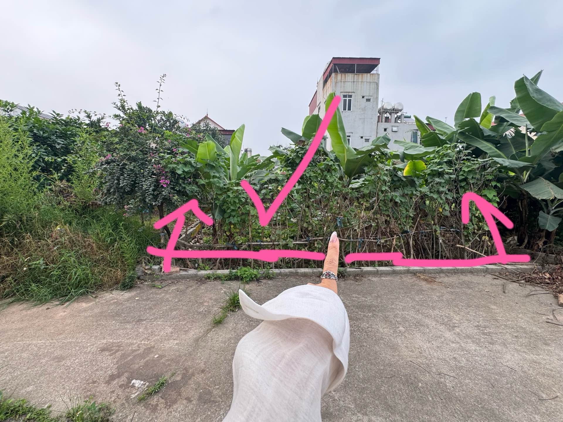 Đất thổ cư 125m2 ô tô vào nhà, vị trí vàng Văn Giang
