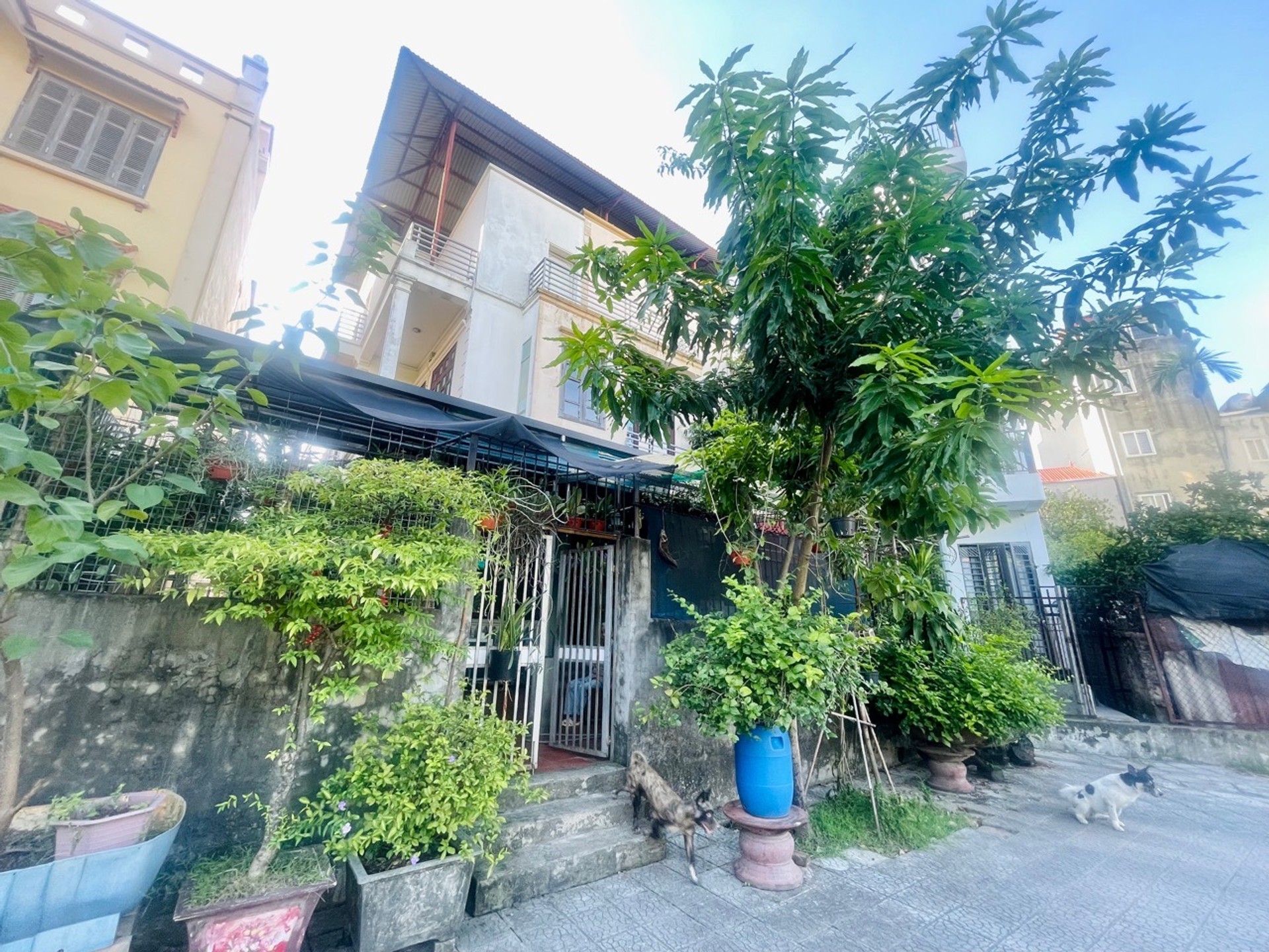 AN DƯƠNG VƯƠNG 250M NHÀ SÁT HỒ - XÂY BIỆT THỰ TUYỆT ĐẸP - KHU VỰC TIỀM NĂNG PT DU LỊCH SÔNG HỒNG