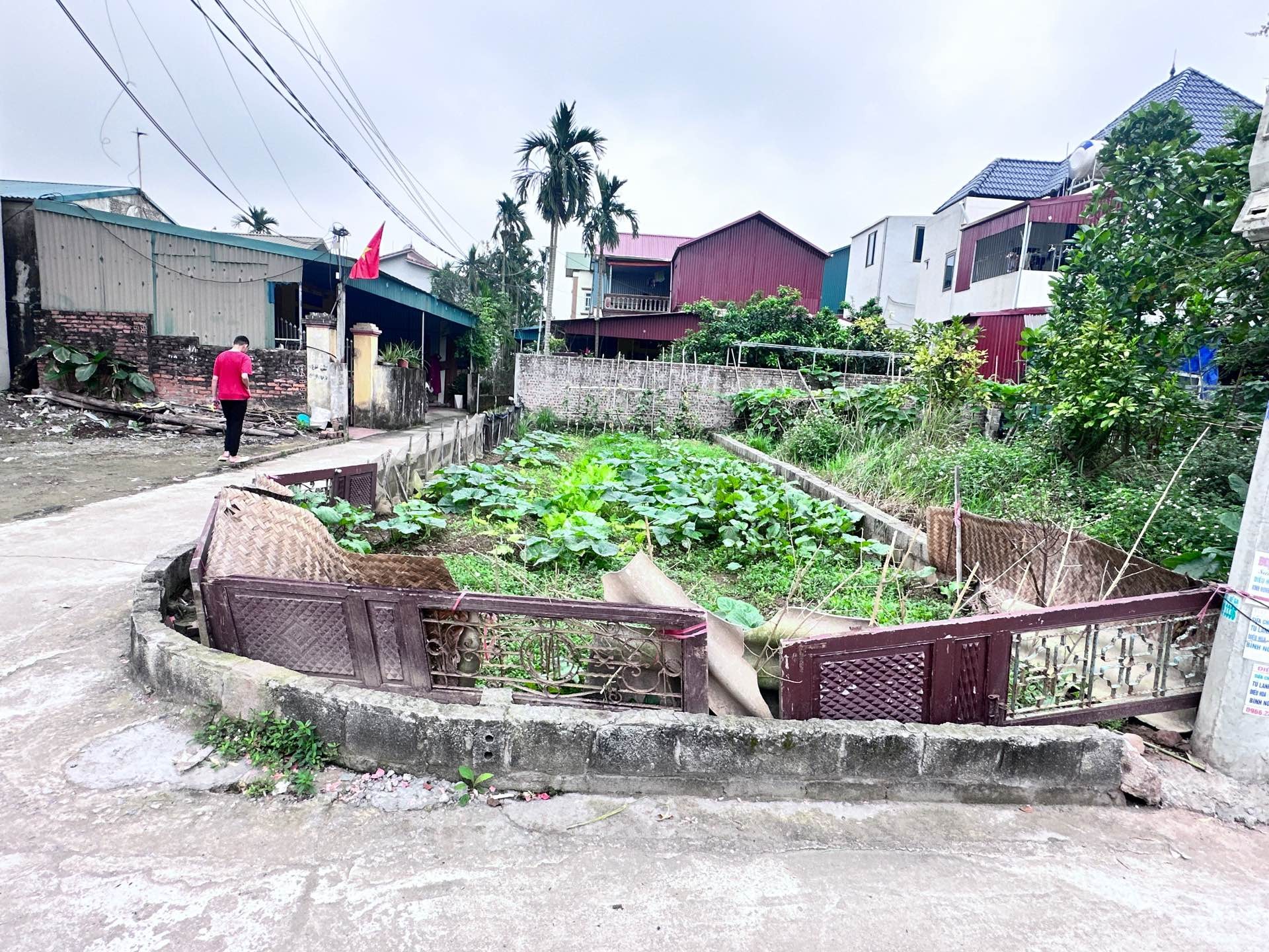 Đất Văn Giang mặt tiền rộng - Cơ hội đầu tư siêu tiềm năng