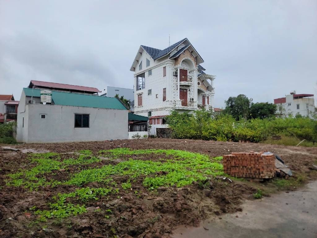 Đất siêu phẩm phân lô Văn Giang giá tốt