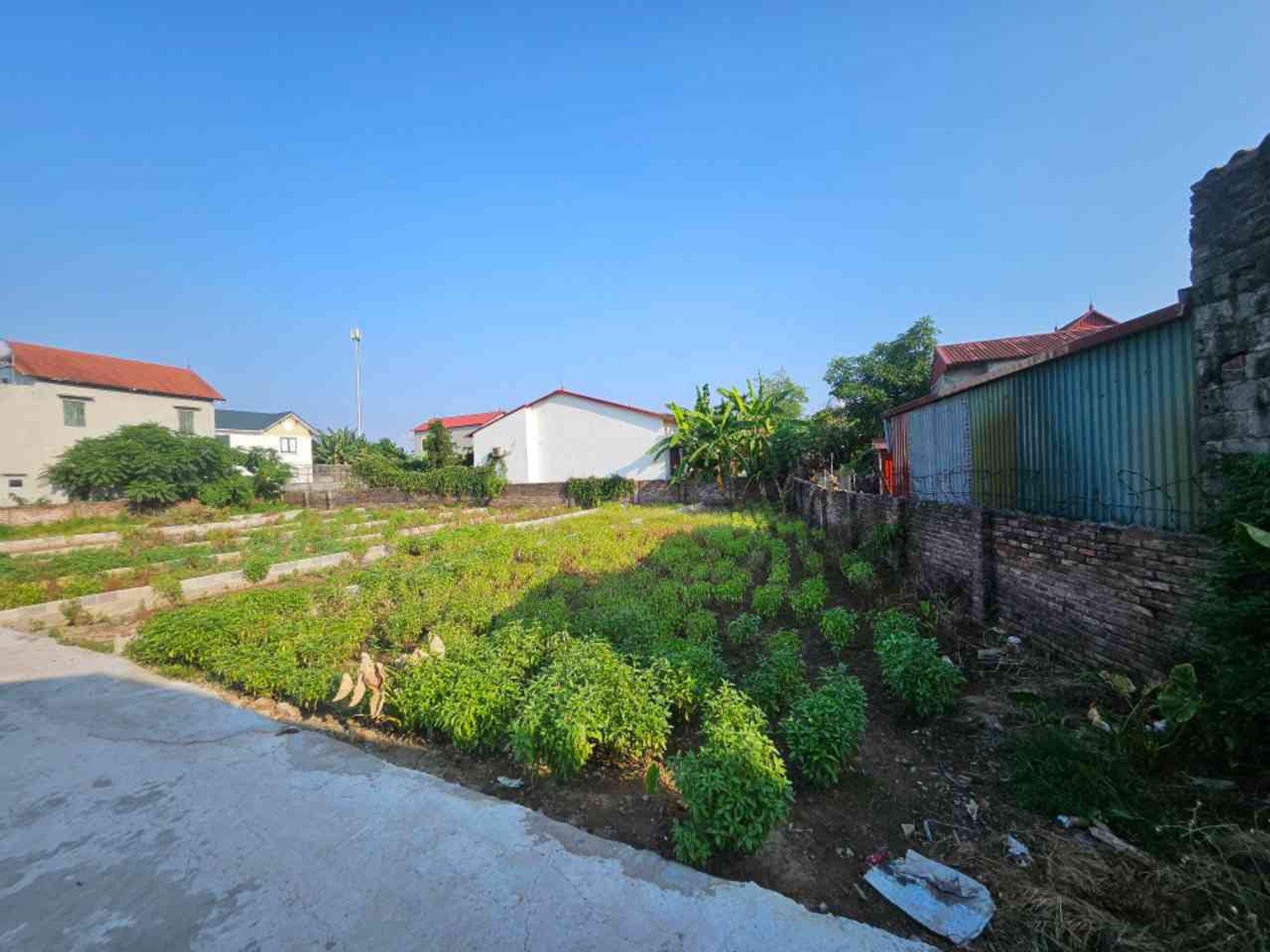 Lô đất vàng Văn Giang, cơ hội đầu tư cực hấp dẫn quán trạch AB.