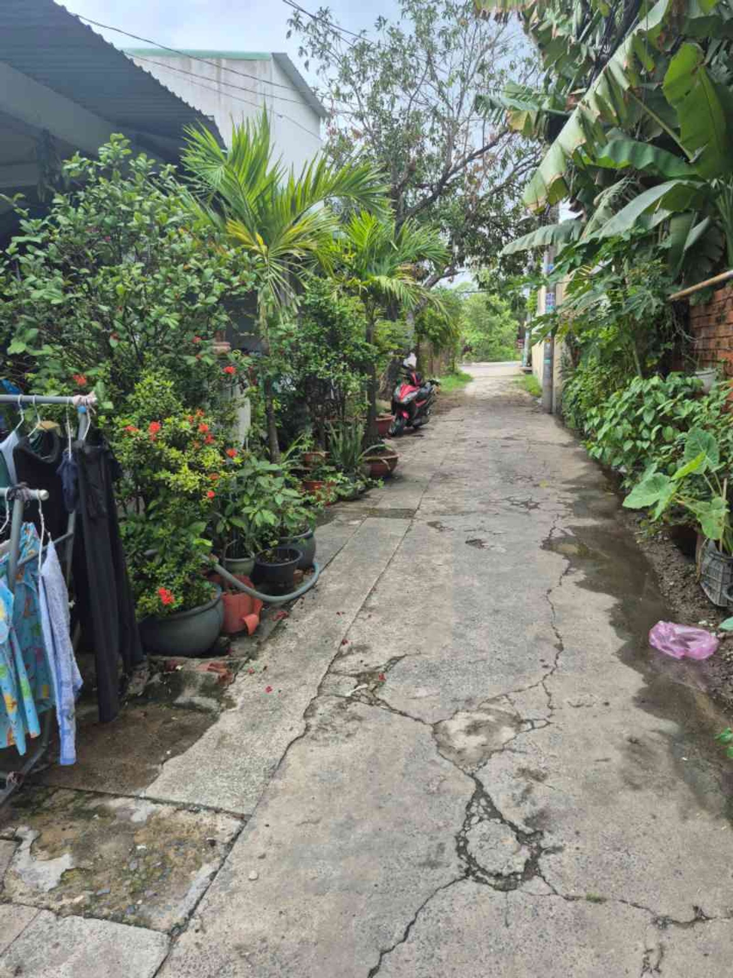 Bán nhà cấp 4 55m2 tại Bà Điểm, Hóc Môn, giá 2.95 tỷ