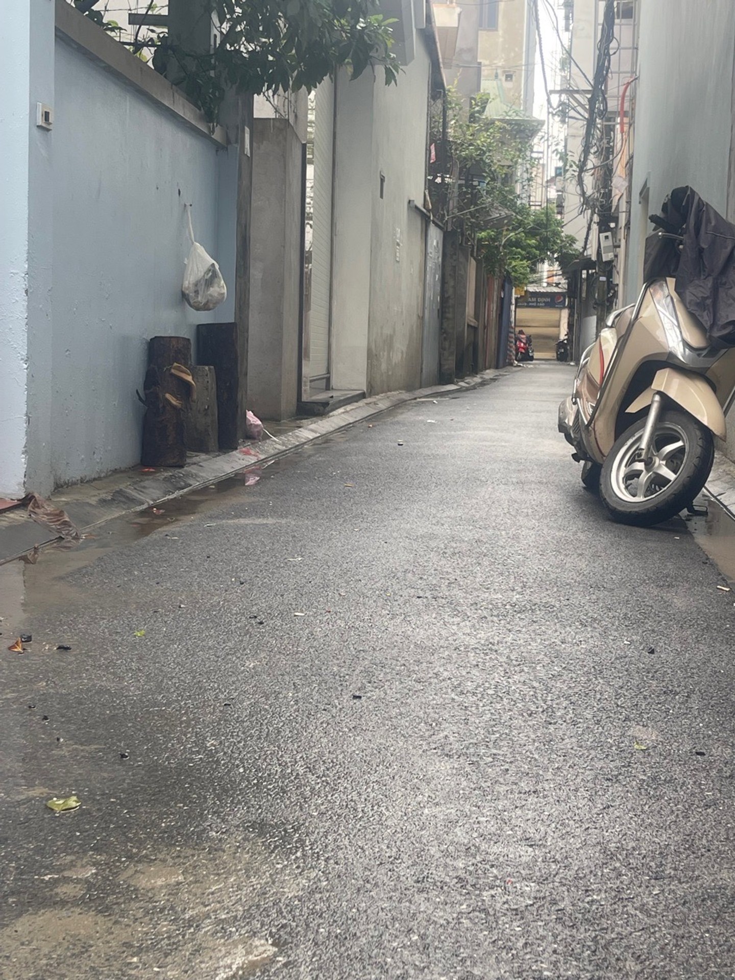 Cơ hội sở hữu đất Tây Bầu – vị trí vàng, diện tích đẹp, giá tốt
