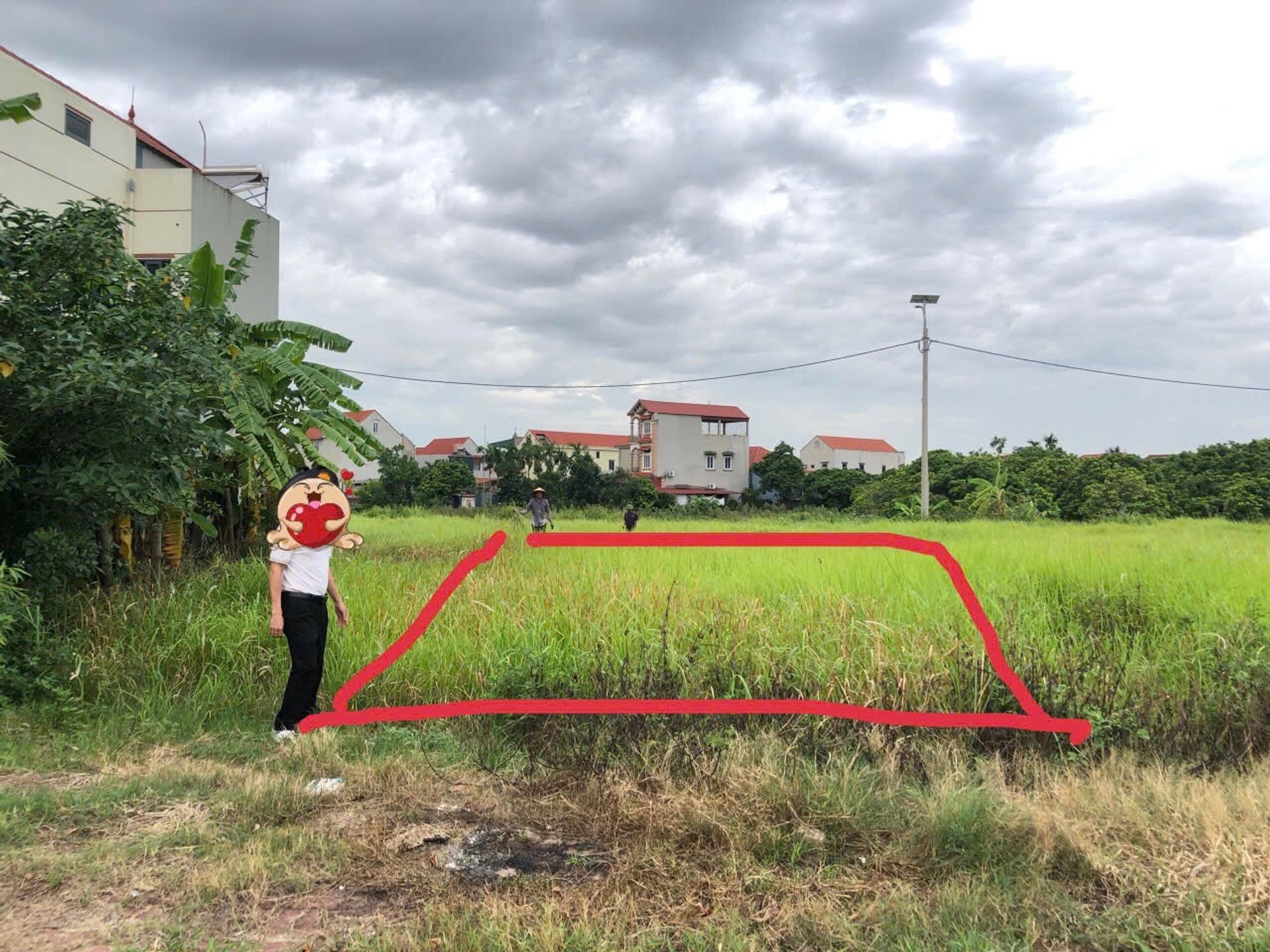 🔥 HÀNG HOT ĐẤU GIÁ VĨNH XÁ – 130M² – MT 6,5M – ĐƯỜNG 10M – HẠ TẦNG ĐỒNG BỘ – DỄ CHỐT 🔥

Lô đất n