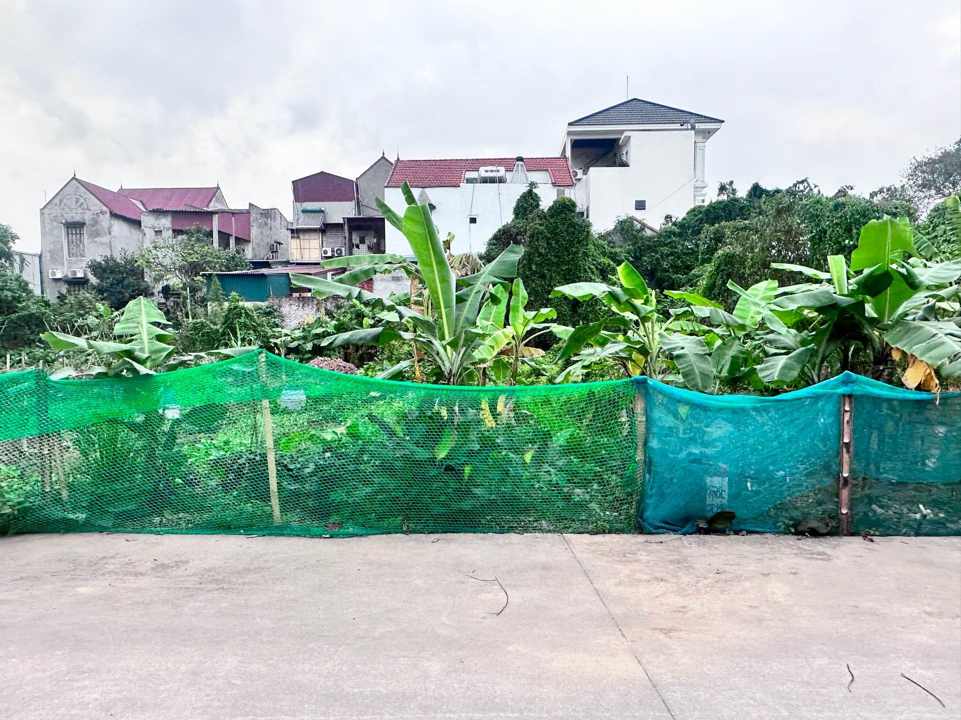 Bán đất 200m lê cao nghĩa trụ Hưng yên