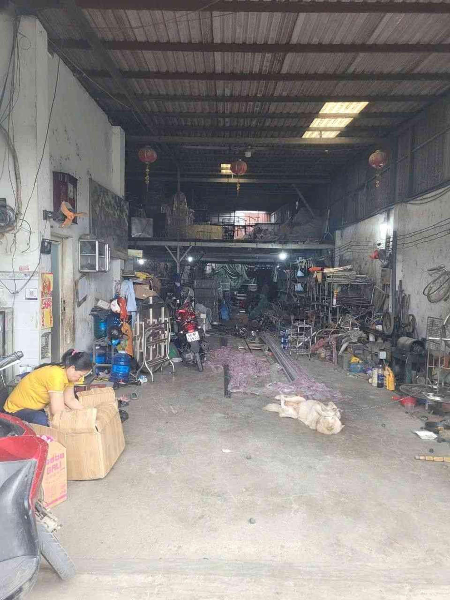 Bán nhà và kho xưởng diện tích 310m² tại xã Tân Vĩnh Lộc, Bình Chánh