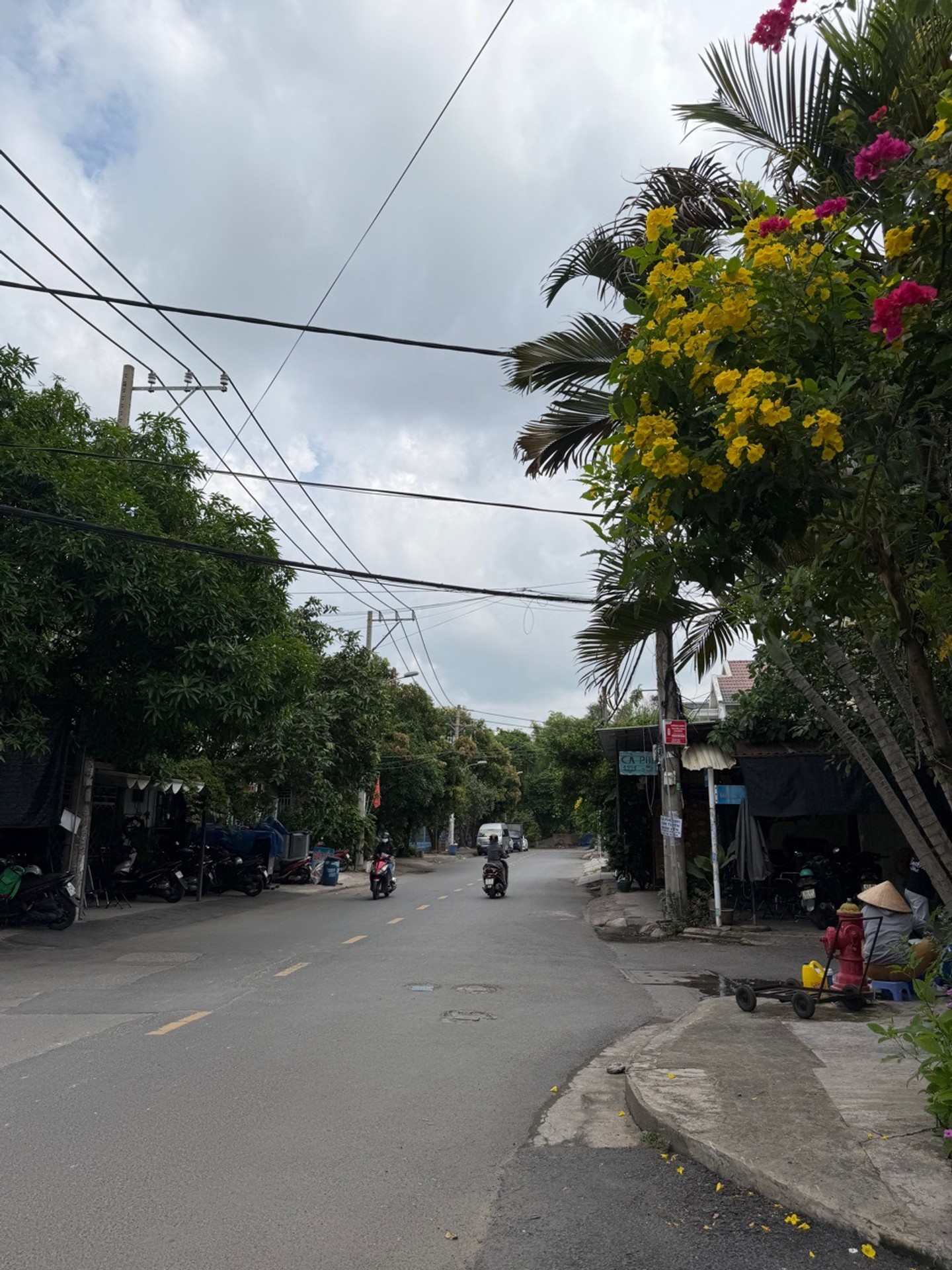 Đất Vàng Tăng Nhơn Phú - Sổ Sẵn, Tiện Xây CHDV