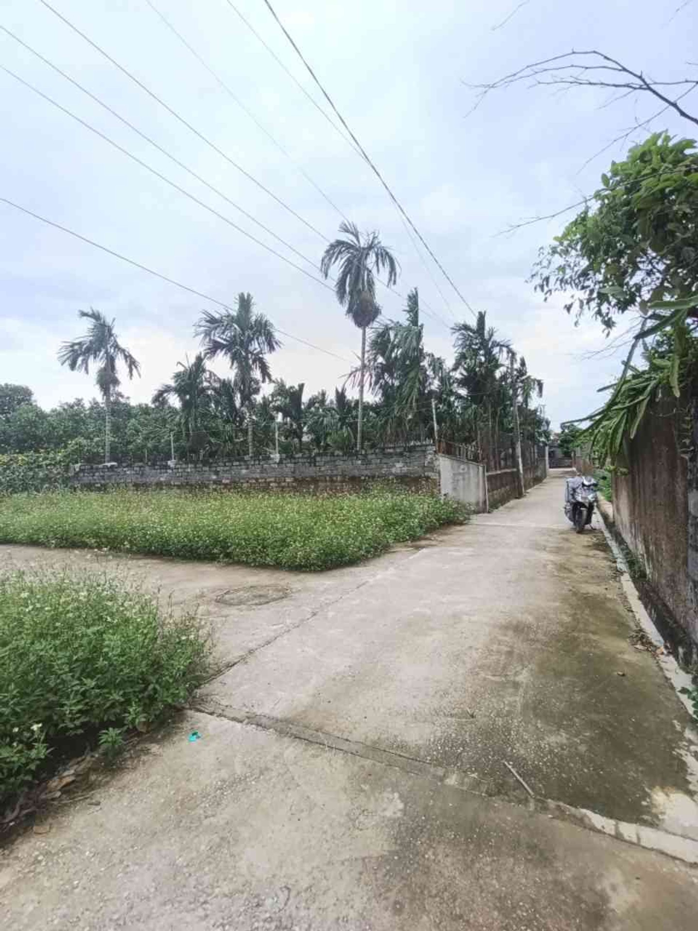 Đất Lô Góc Siêu Thoáng Tại Kỳ Sơn Thủy Nguyên