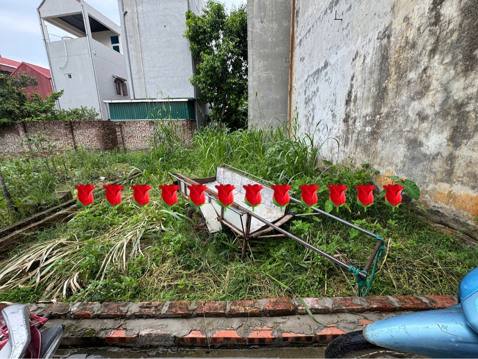 Cơ hội sở hữu đất thổ cư Quang Minh, vị trí đẹp, giá tốt