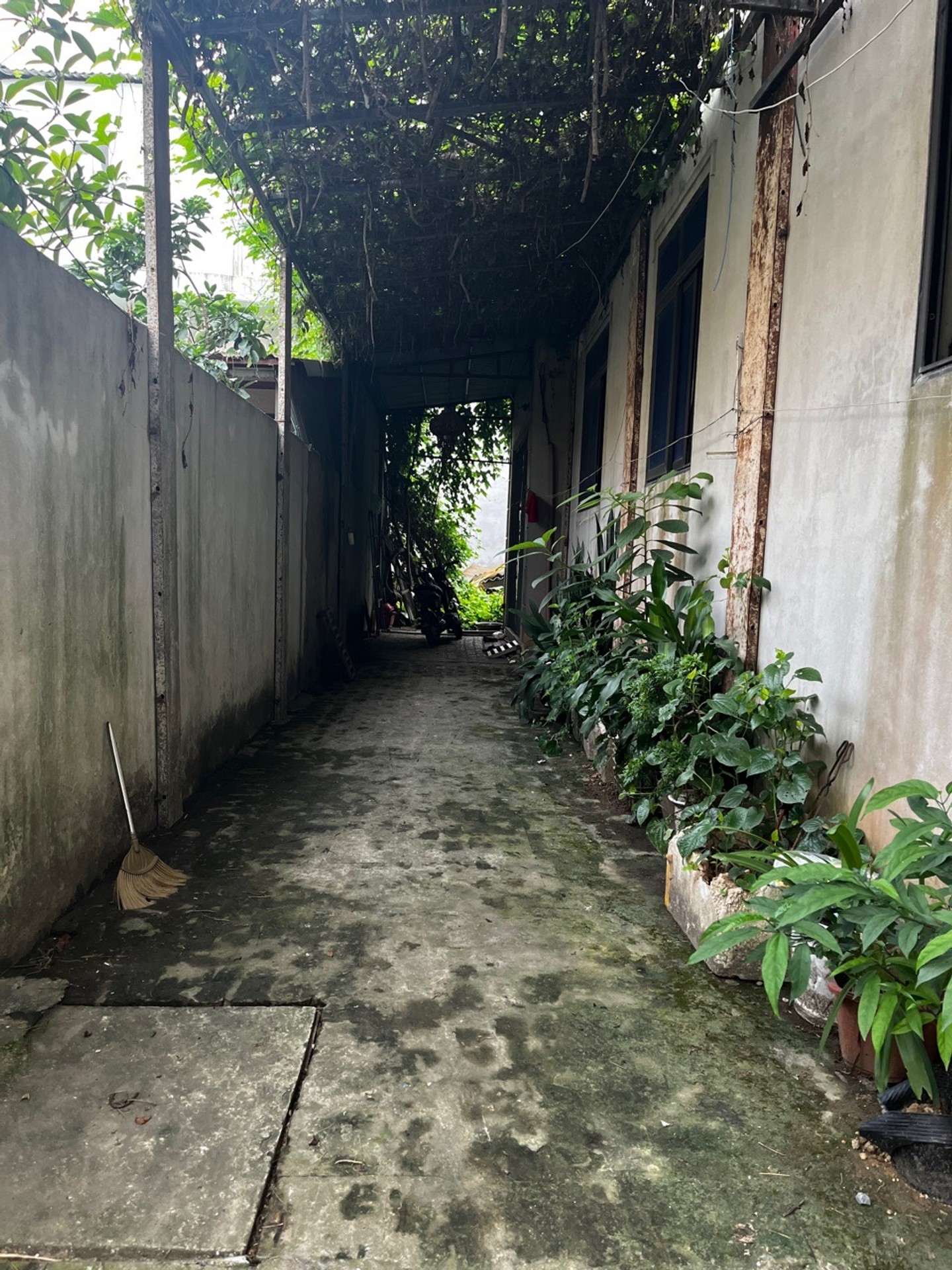 Bán đất 41m² tại xã Yên Nghĩa, ngõ ô tô thông, gần phố, pháp lý rõ ràng