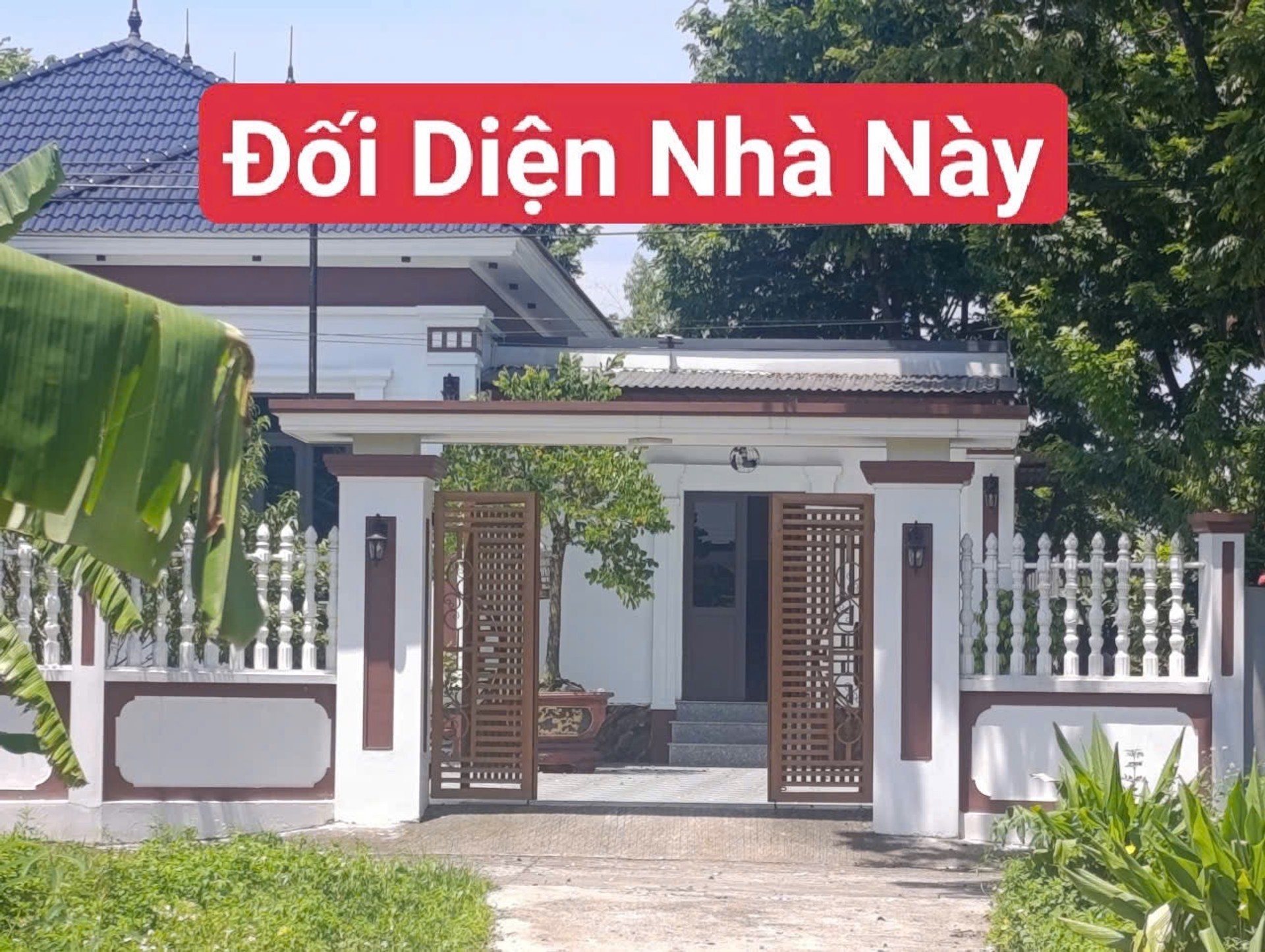 Hạ giá . Hạ giá. Giá hạ sập sàn . cơ hội vàng gửi quý ace