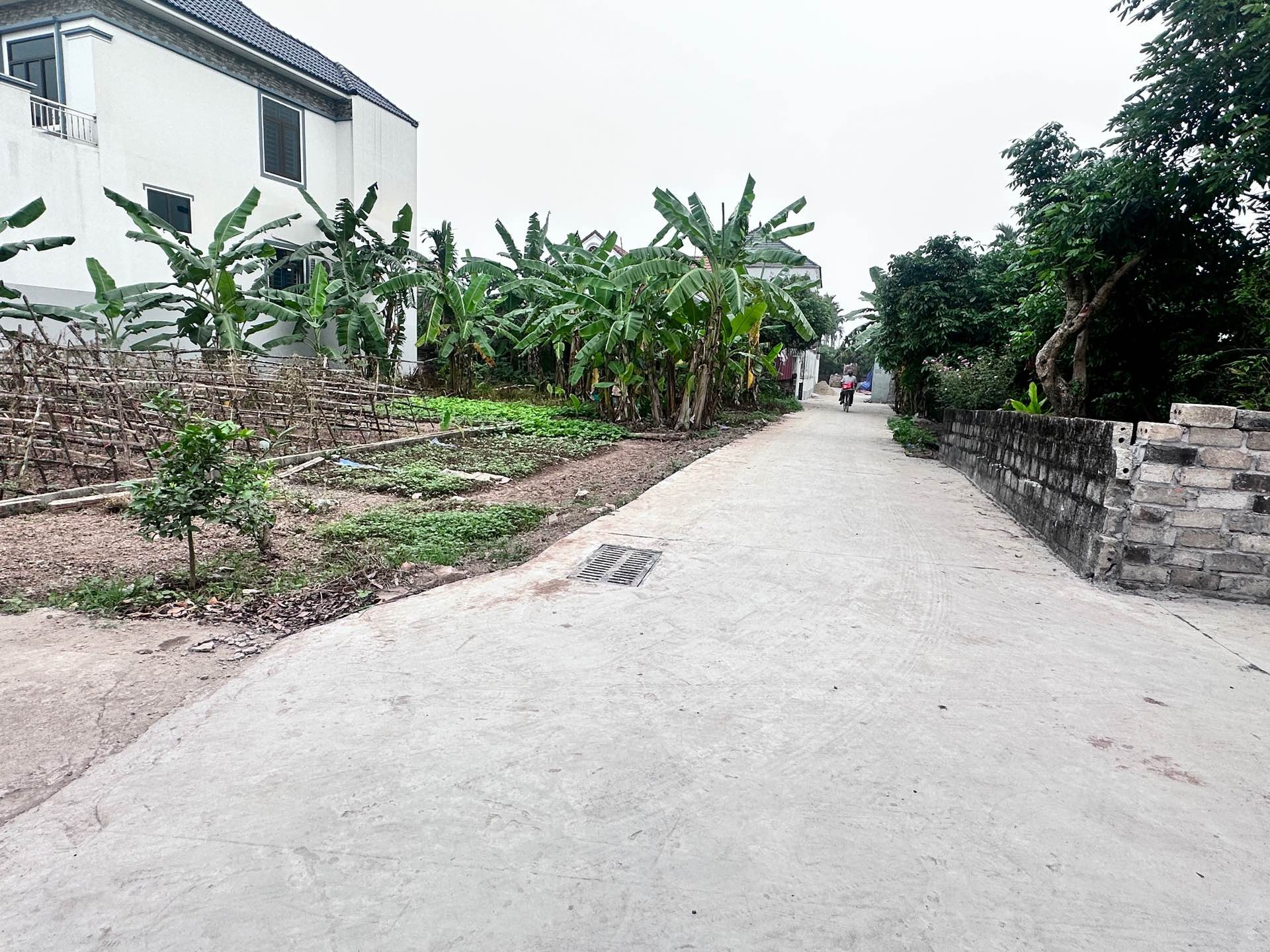 Bán đất phân lô mặt ngõ ô tô tại An Vĩ, Hưng Yên, giá đầu tư